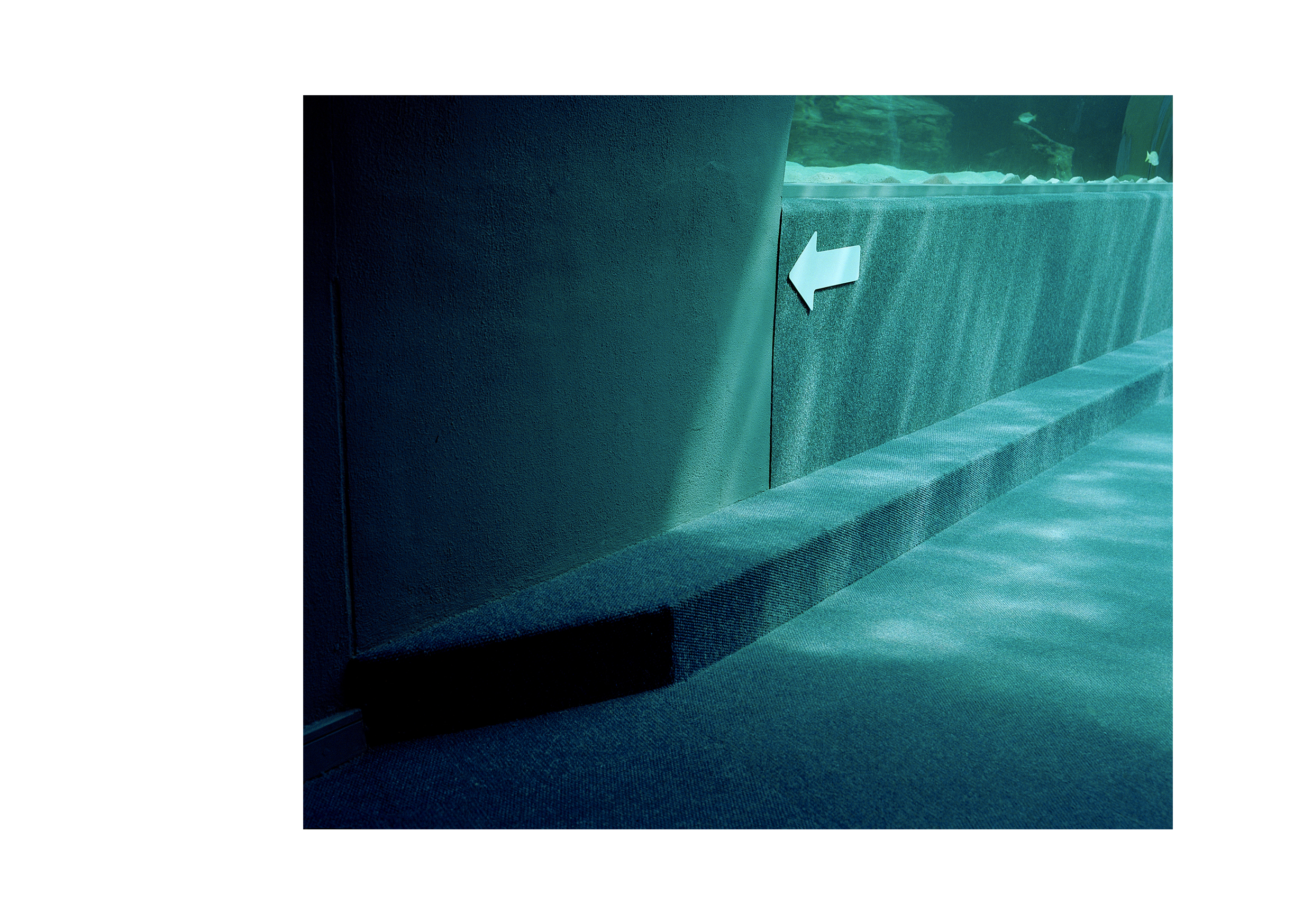  A Tale Of Two Oceans   