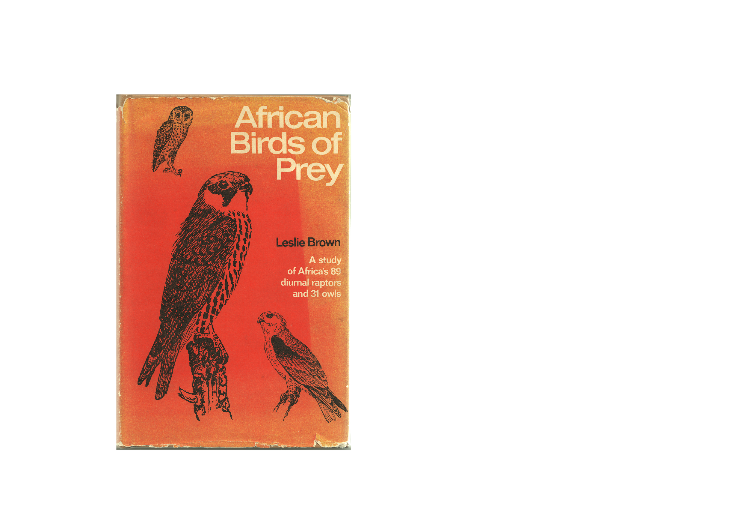  89 Birds Of Prey- i 