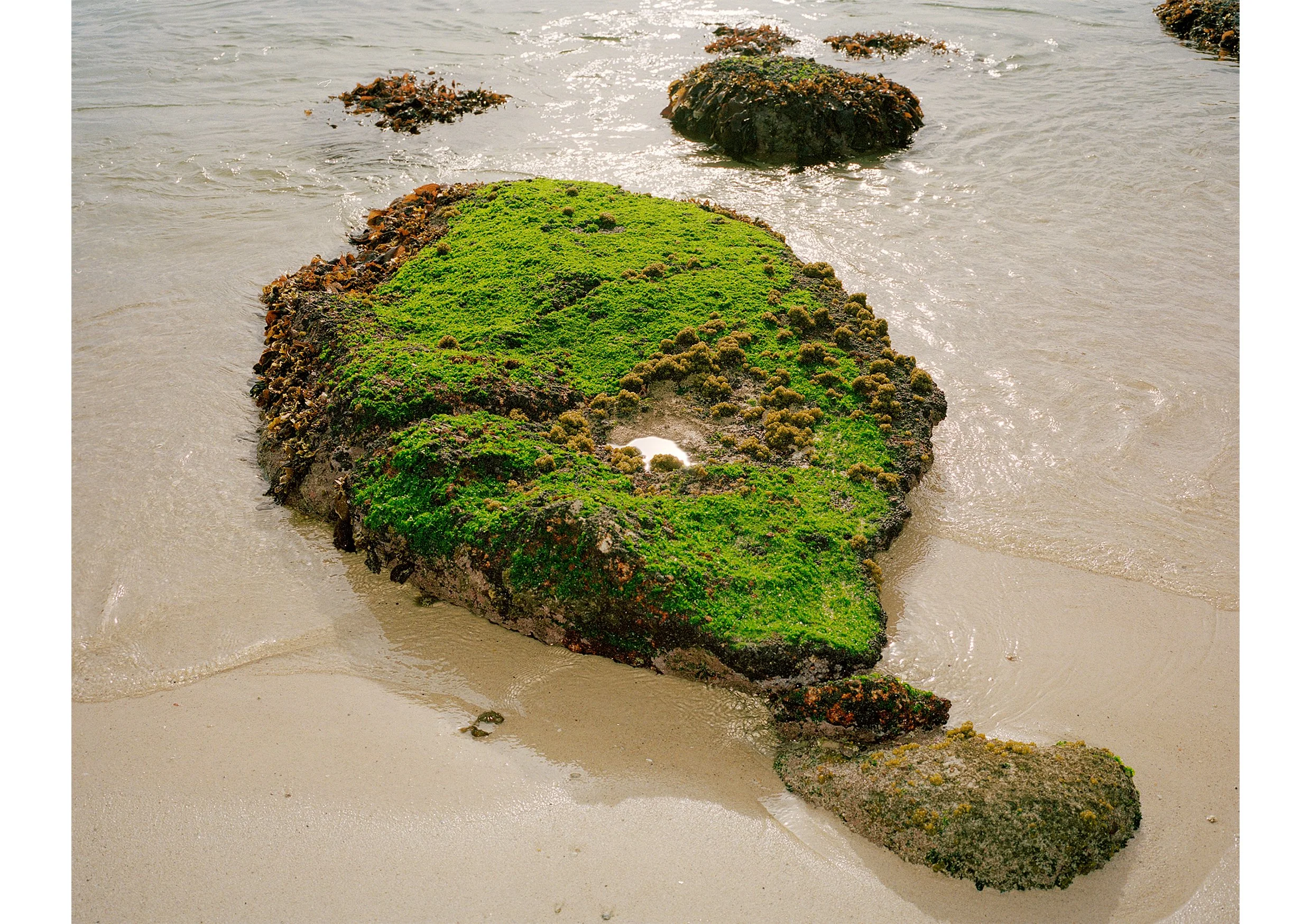  The Morning I got sober.  