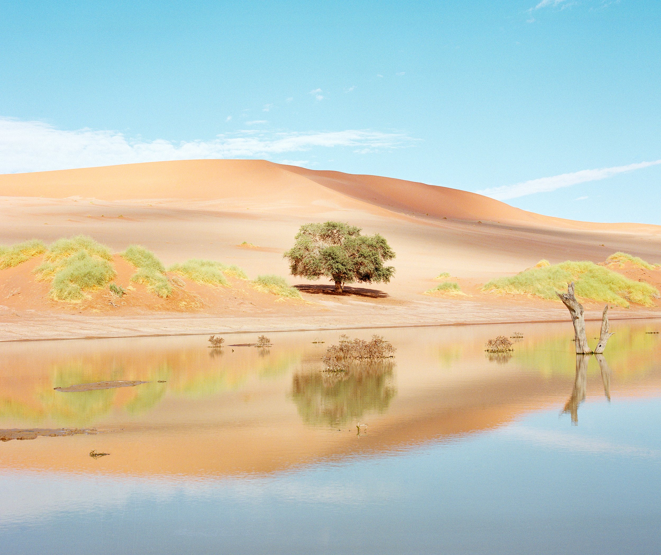 Sossusvlei Under Water  Rains like these are incredibly rare in Namibia  Where to Now- Zara X Wallpaper* 