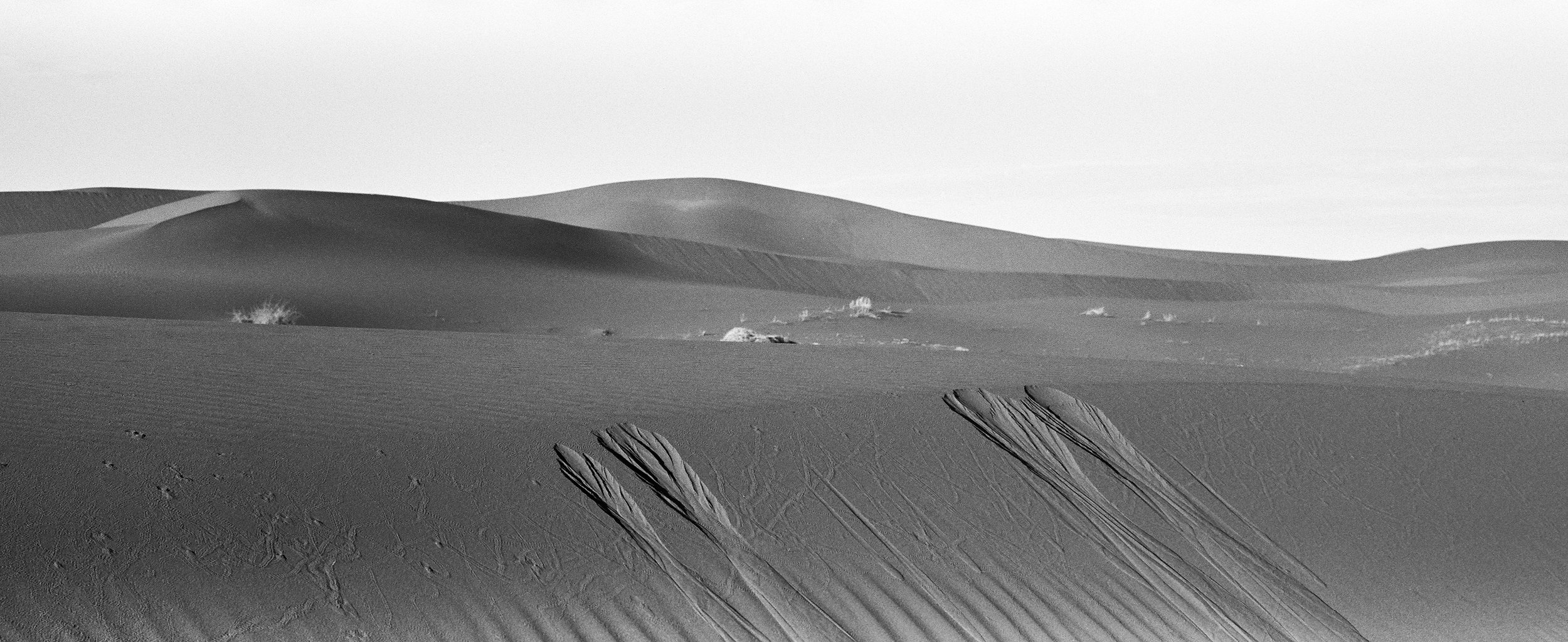  Desert Panoramic  Where to Now- Zara X Wallpaper* 
