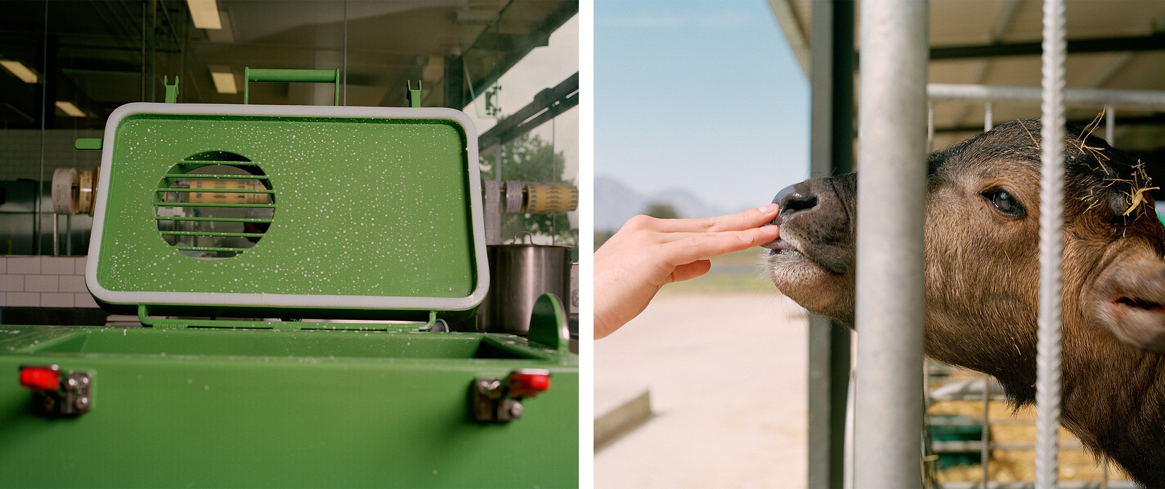  Cheesemaking With Alta Eybers of Babylonstoren    Homey Magazine 