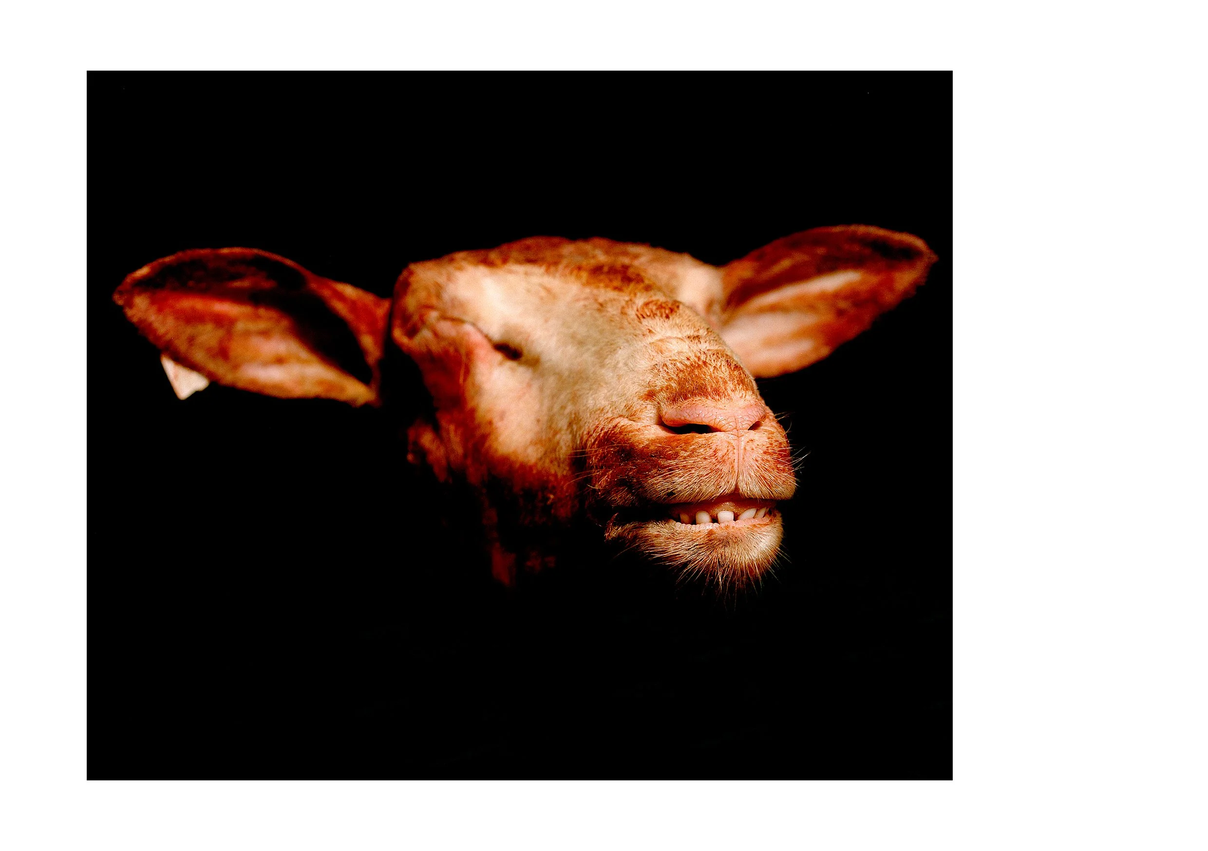  Smiley   This is all I can see from that day  