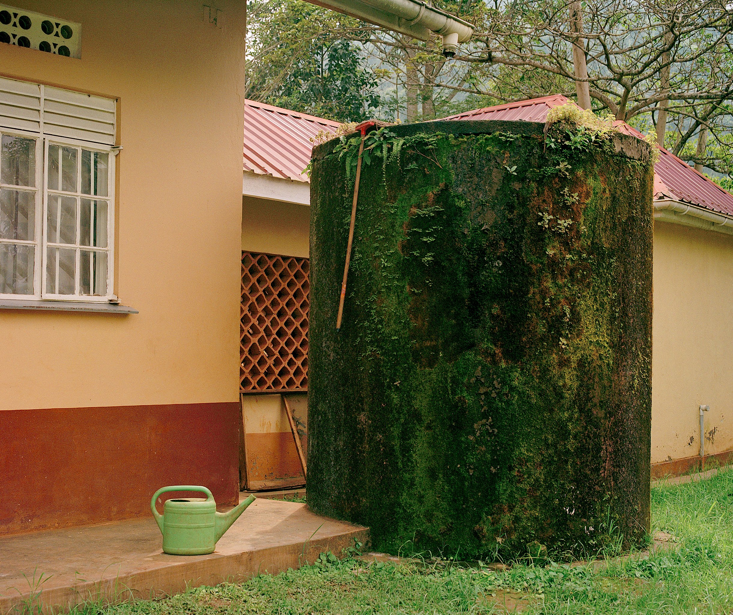  A Story On Anthrax Vaccinations in Eastern Uganda    BBC Storyworks x Rewild       