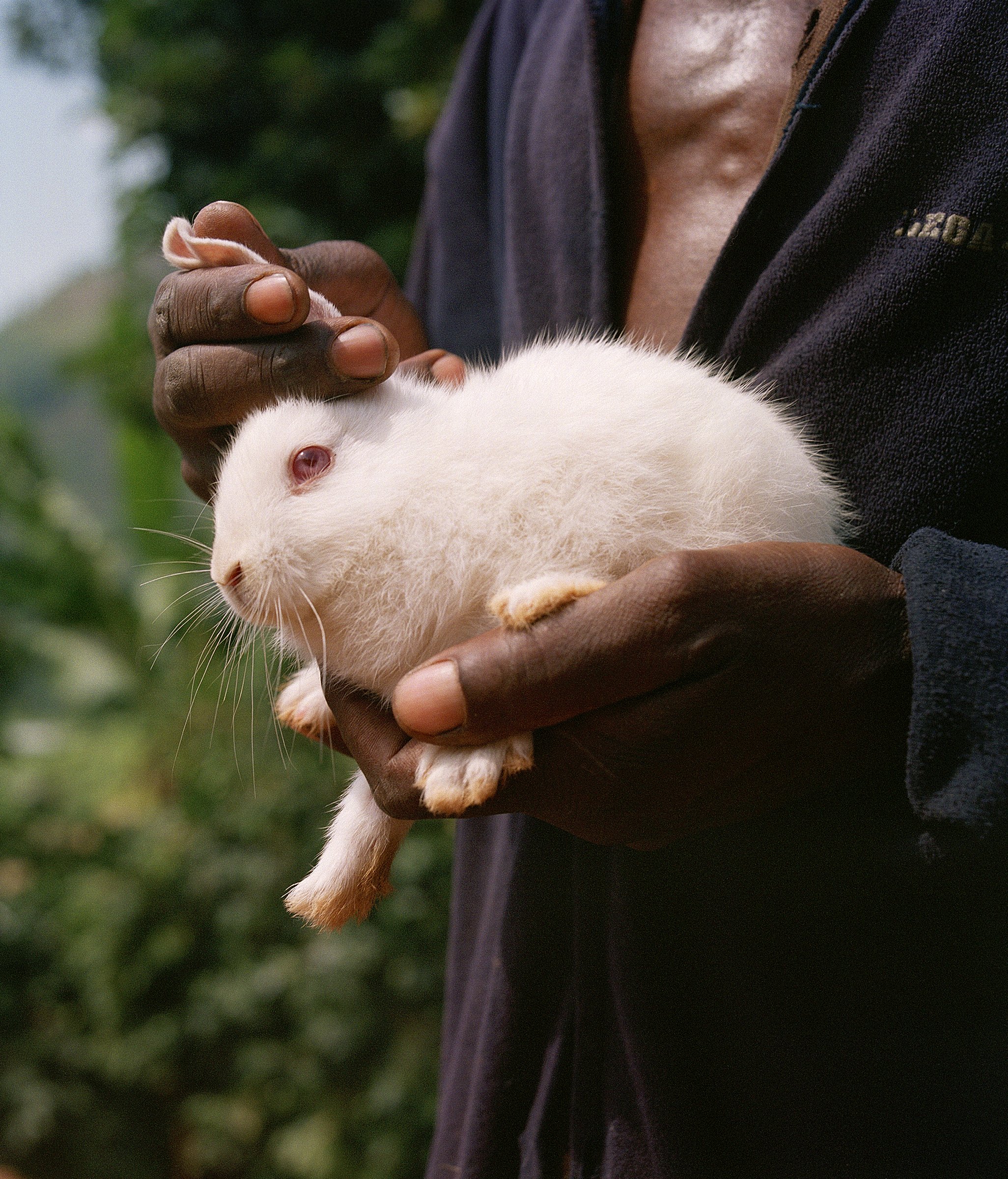  Hardpack Magazine Issue 2  A Story On The Rwenzori Mountains and the effect climate change has on the Bakonzo people who inhabit the foothills of the area 