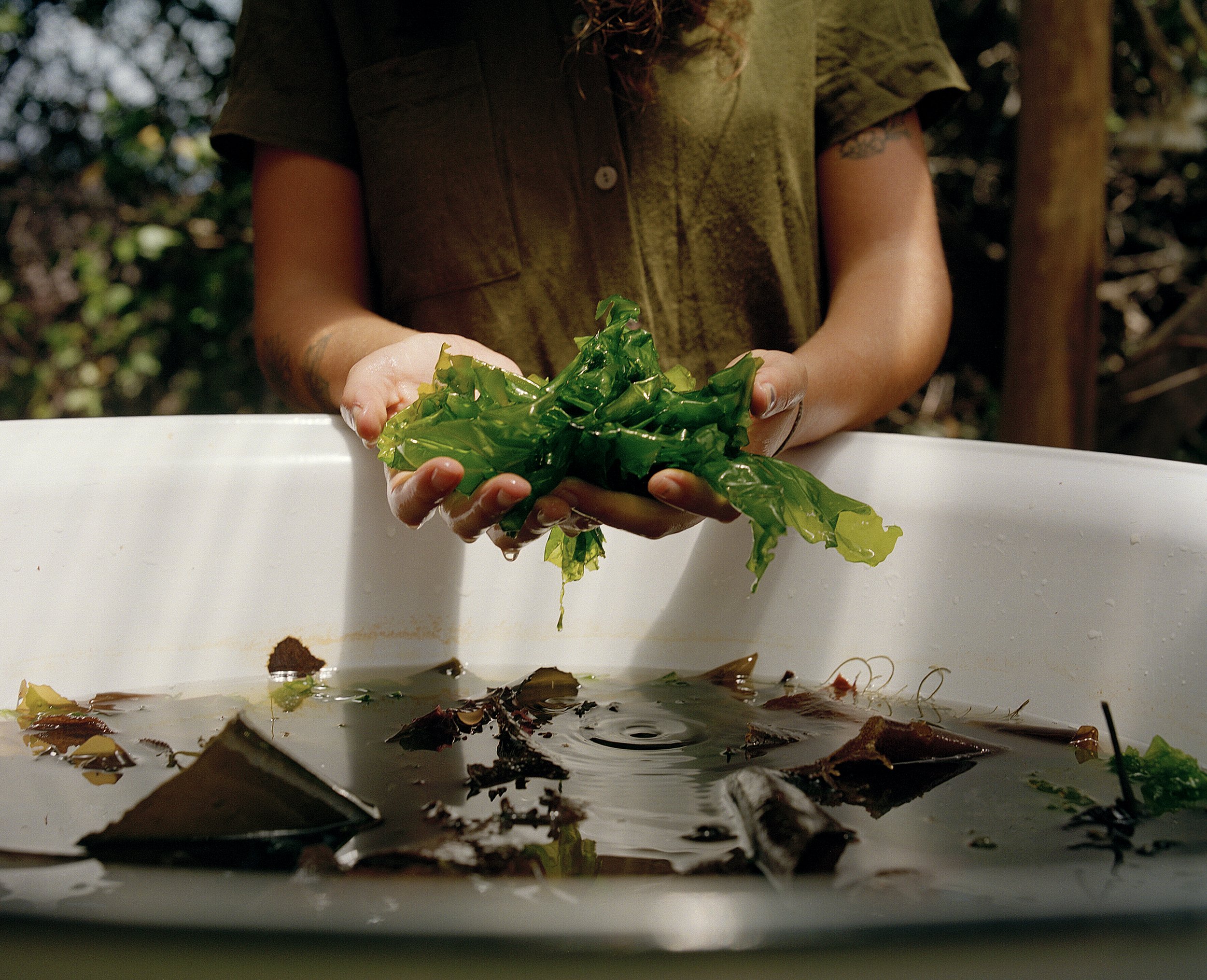  Veld N Sea Foraging Experience &amp; Wolfgat Restaurant    Vera Magazine    Virgin Atlantic  