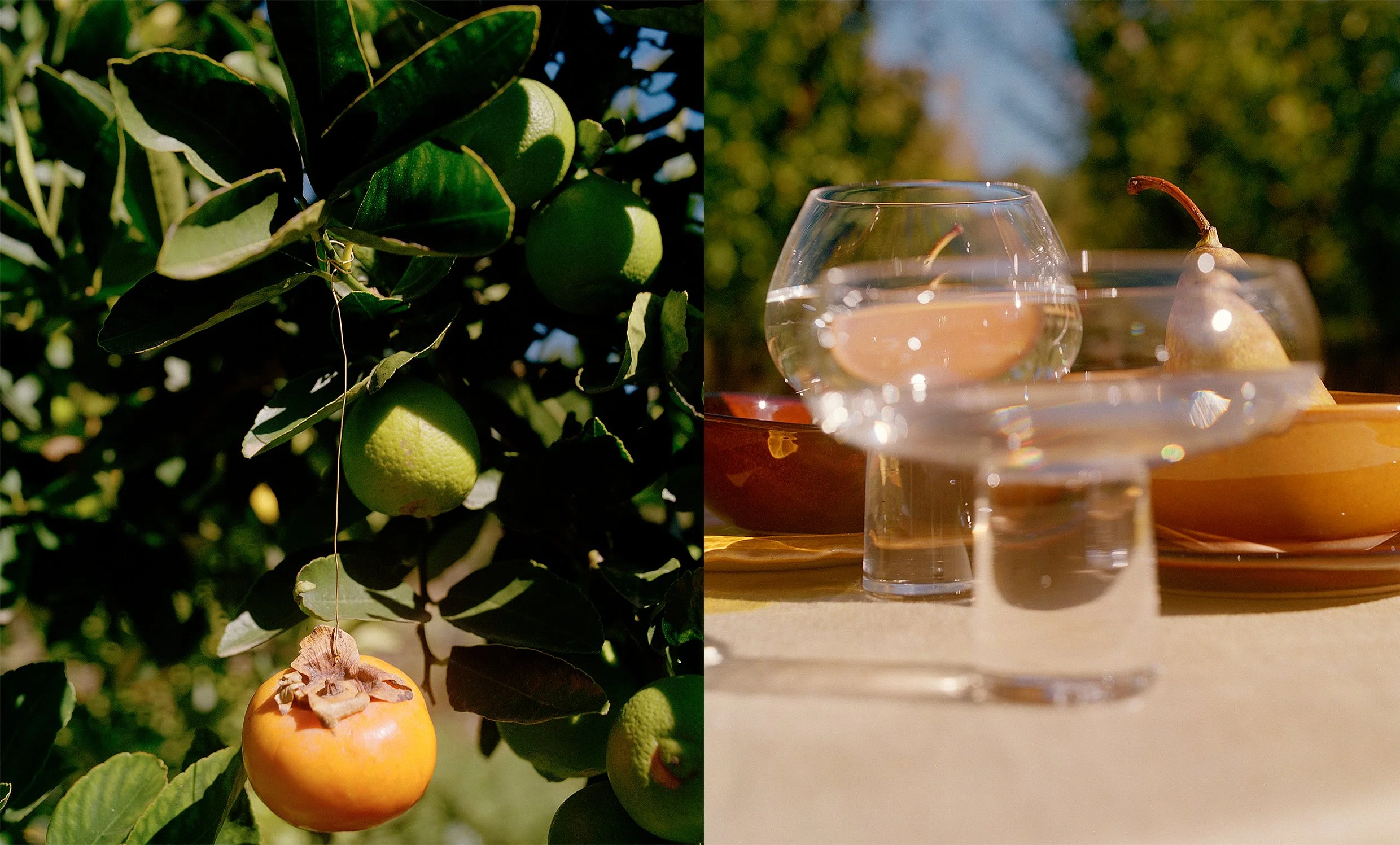  Still Life Story For House &amp; Leisure  Harvest Issue  