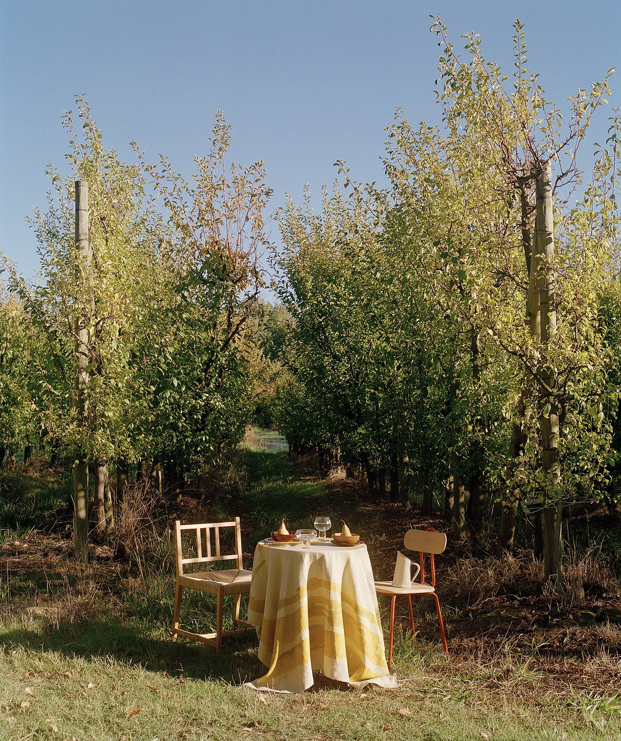  Still Life Story For House &amp; Leisure  Harvest Issue  