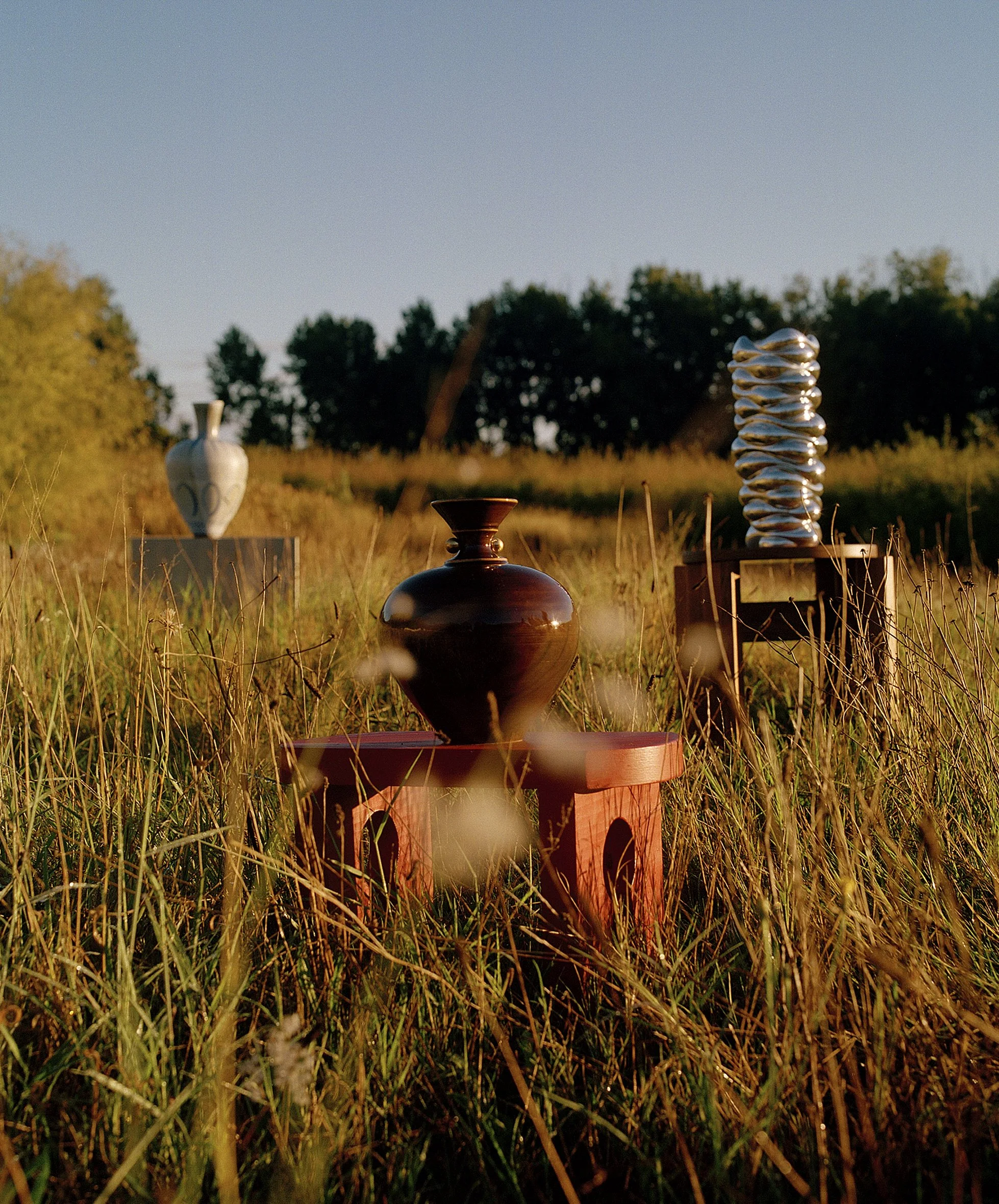  Still Life Story For House &amp; Leisure  Harvest Issue  