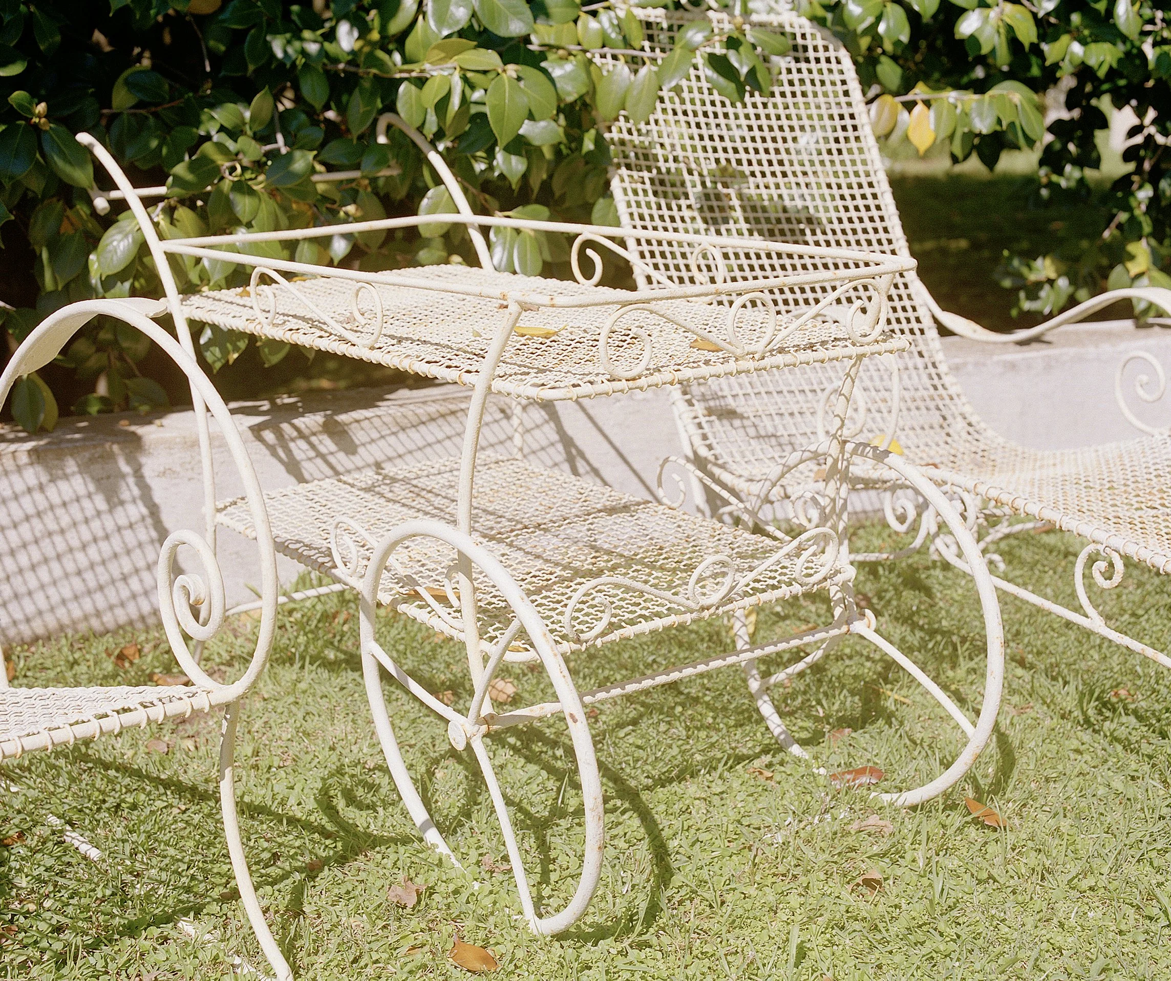  Still Life Story For House &amp; Leisure  Harvest Issue  