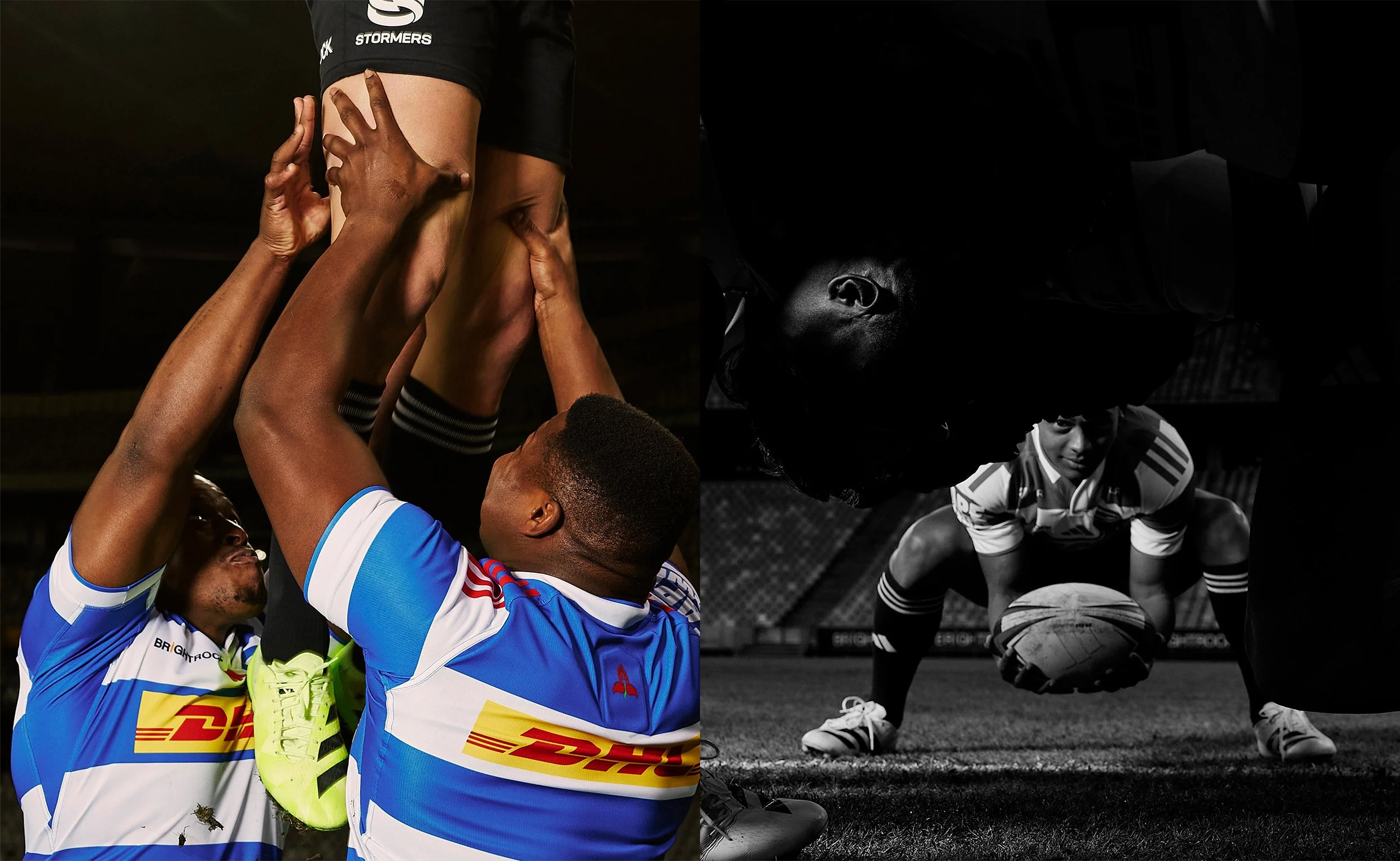 Stormers x Adidas