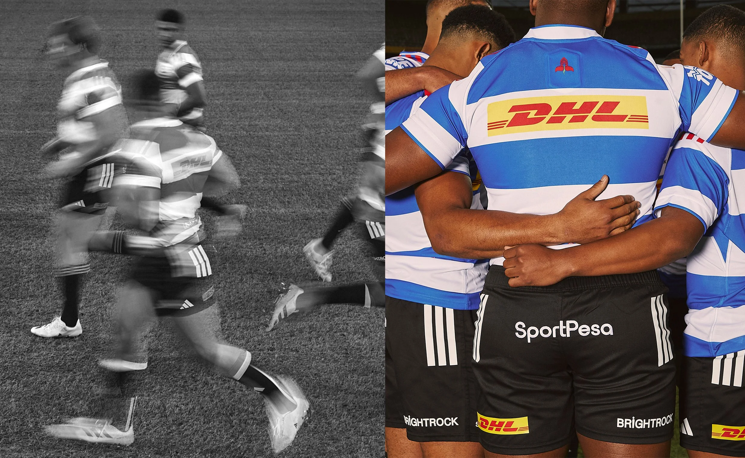Stormers x Adidas