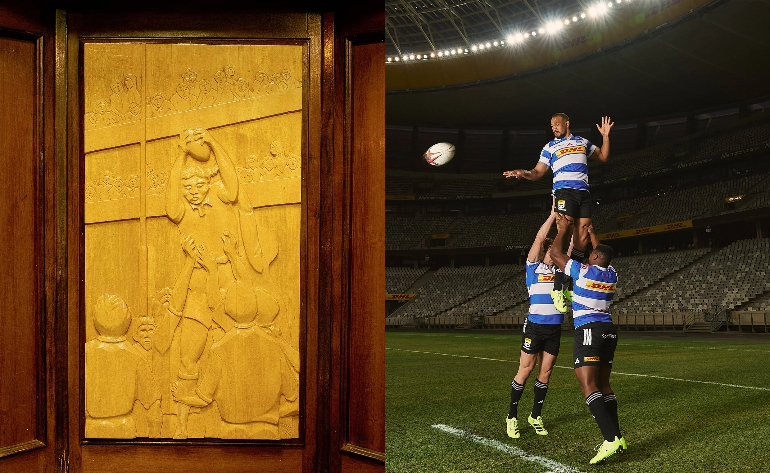 Stormers x Adidas