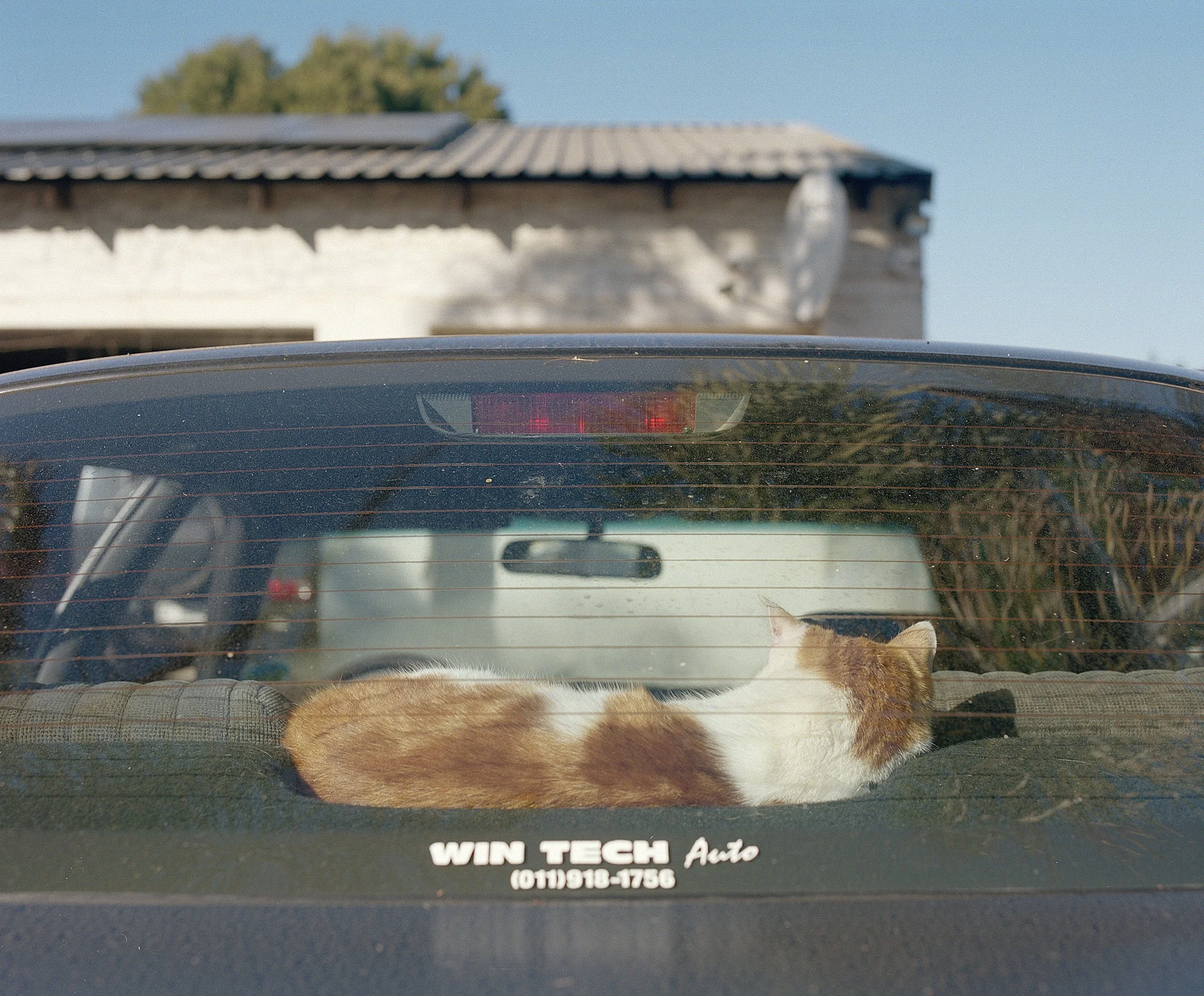 A Story About Female Owned Car Rental For The Film Industry British Airways Magazine