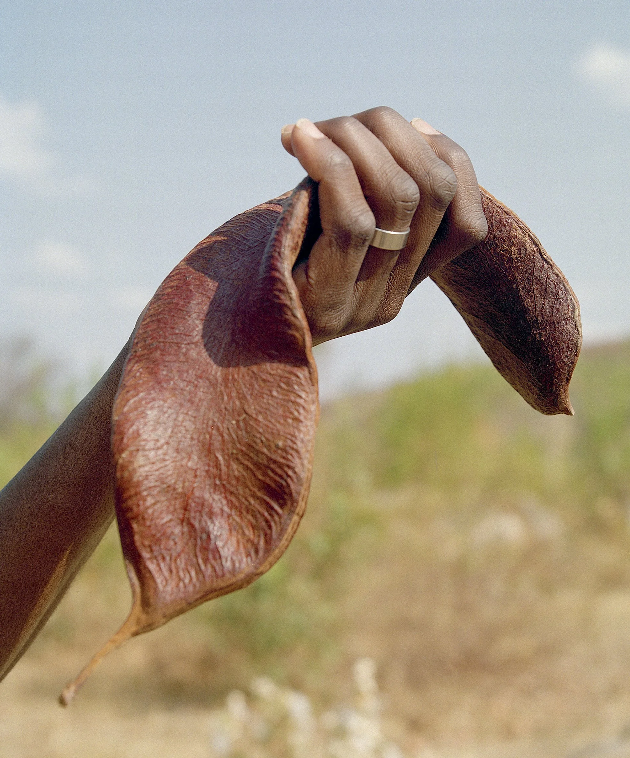  The Painted Houses Of The Matopos  The World Of Interiors  