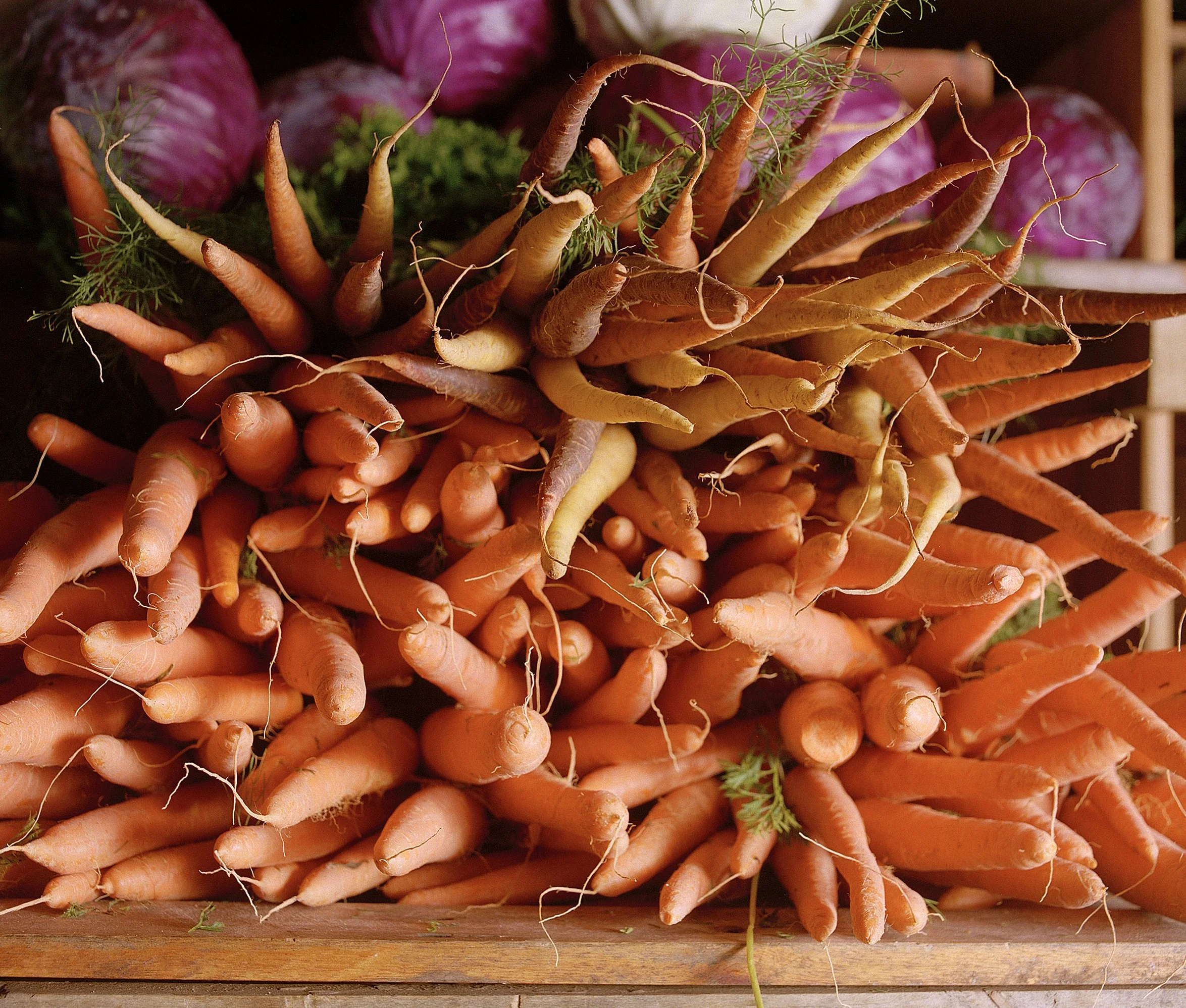  Veggies  Oranjezicht Market For Yoco   