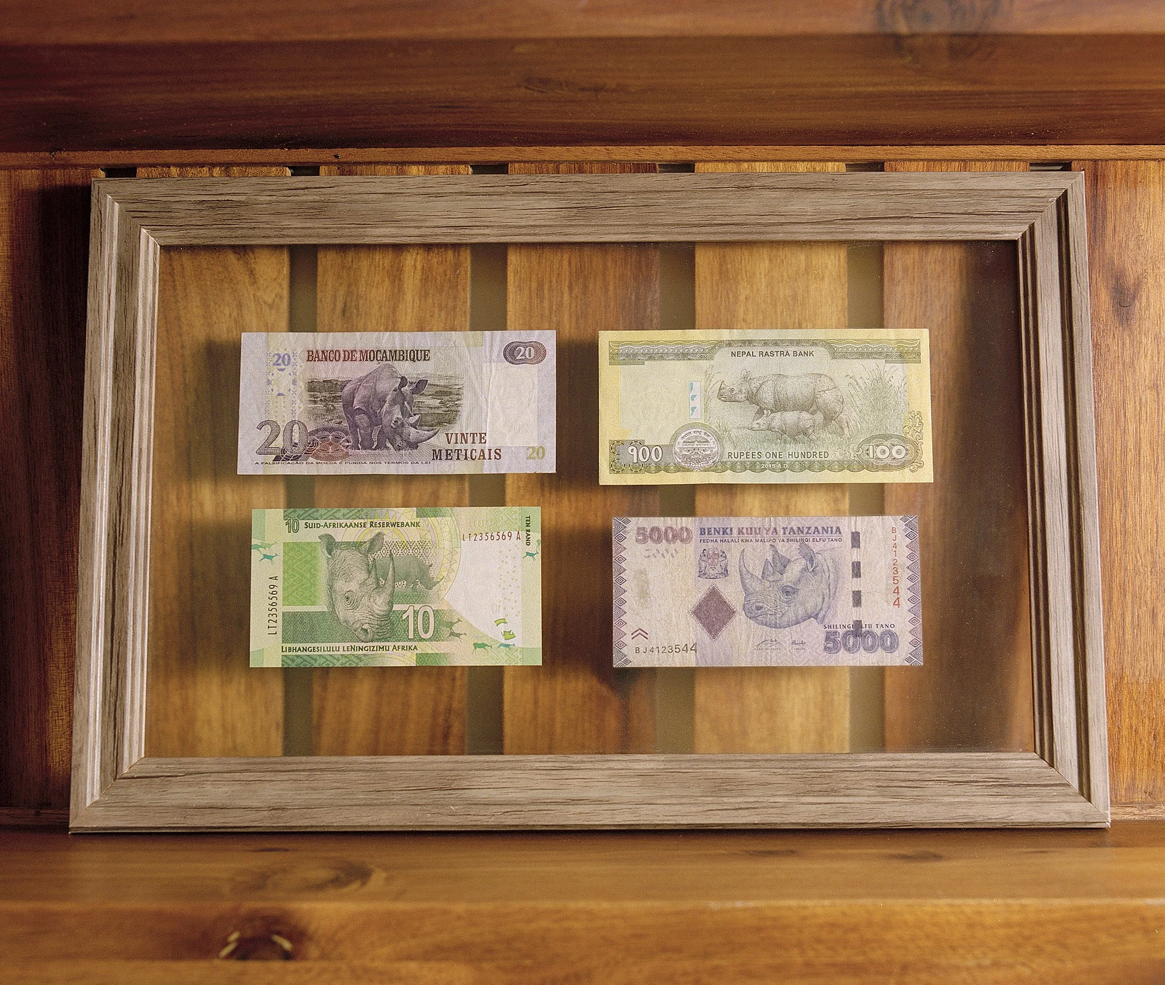  John Humes Rhino Notes  For the cover story of the Financial Times  