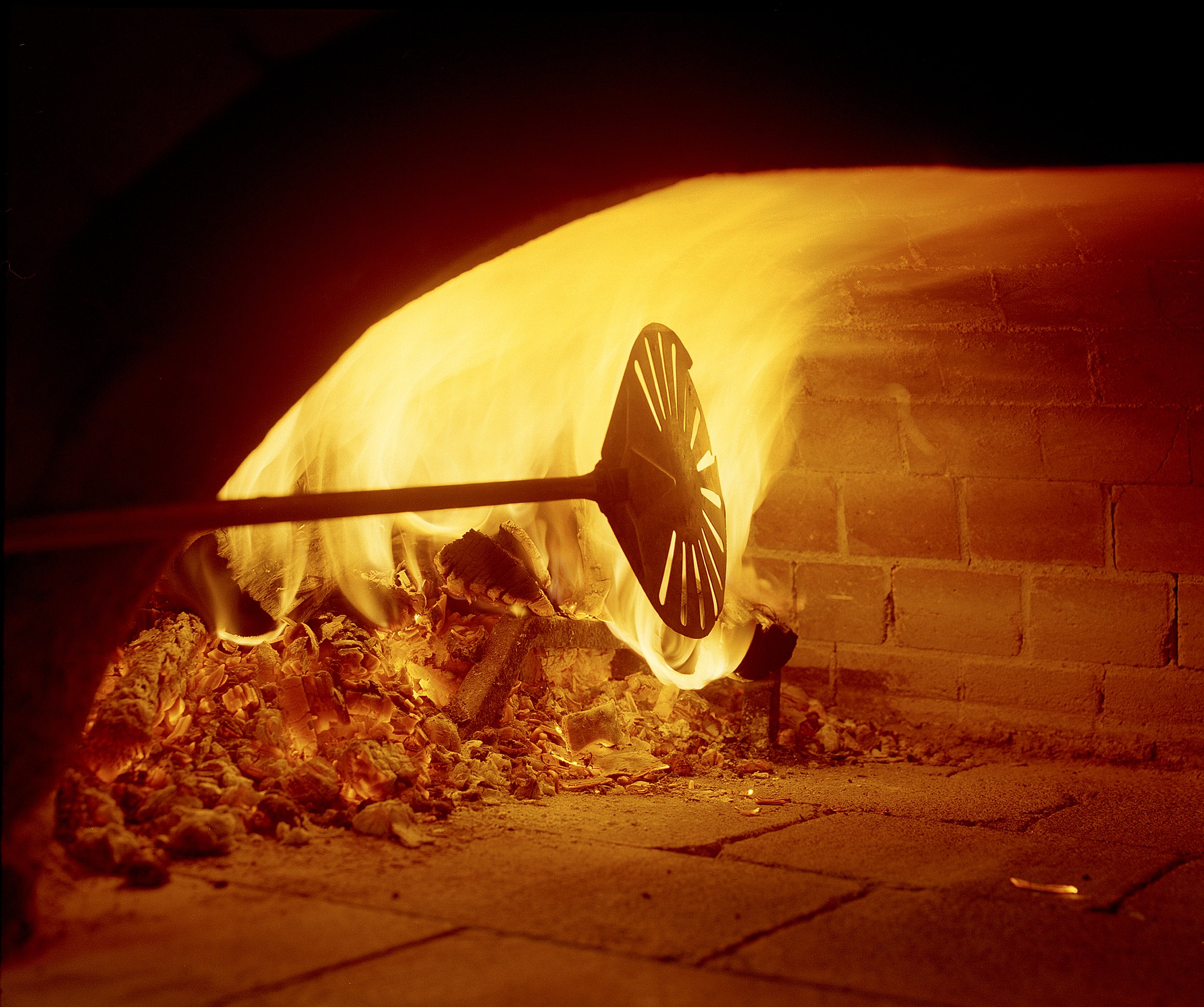 Pizza Shed 