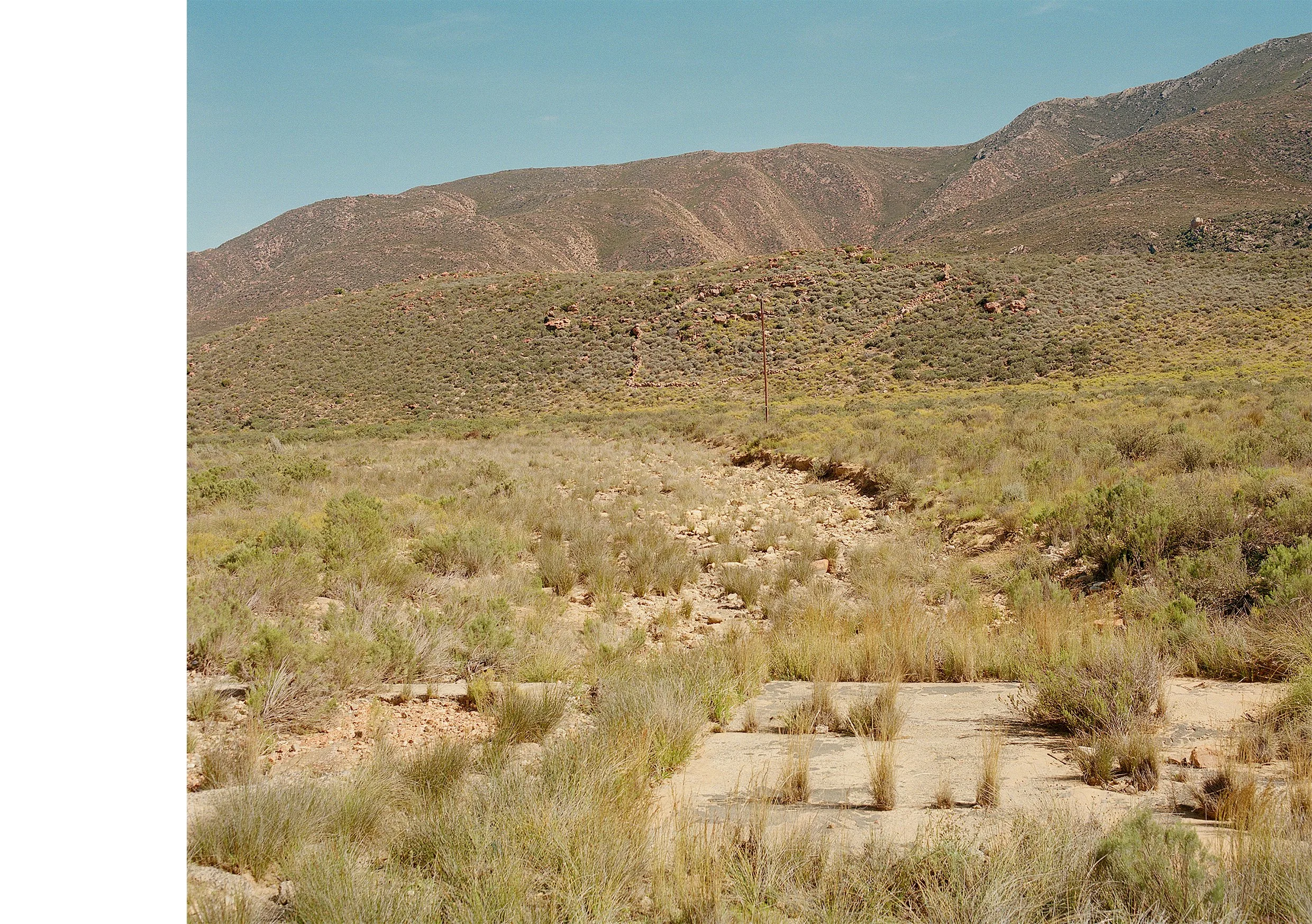  Stone Paddock 