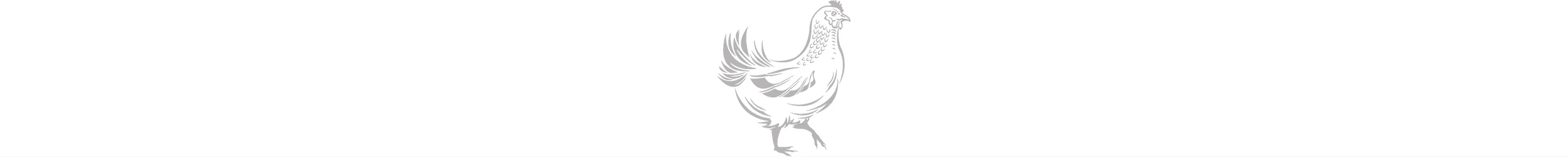 RF_Chicken_silver_sqsp_pagebreak.jpg