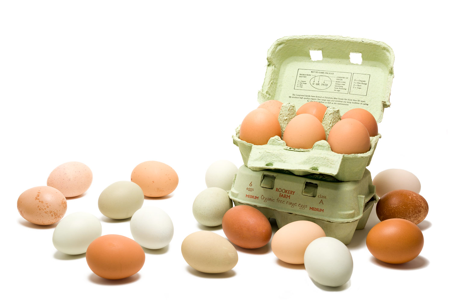Rookeryeggs-header-transparency.png