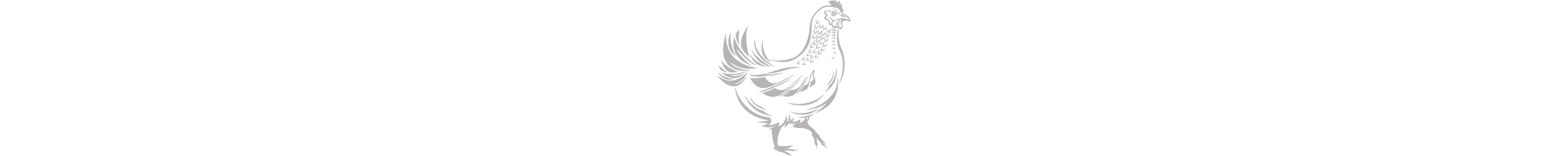 RF_Chicken_white_sqsp_pagebreak.jpg