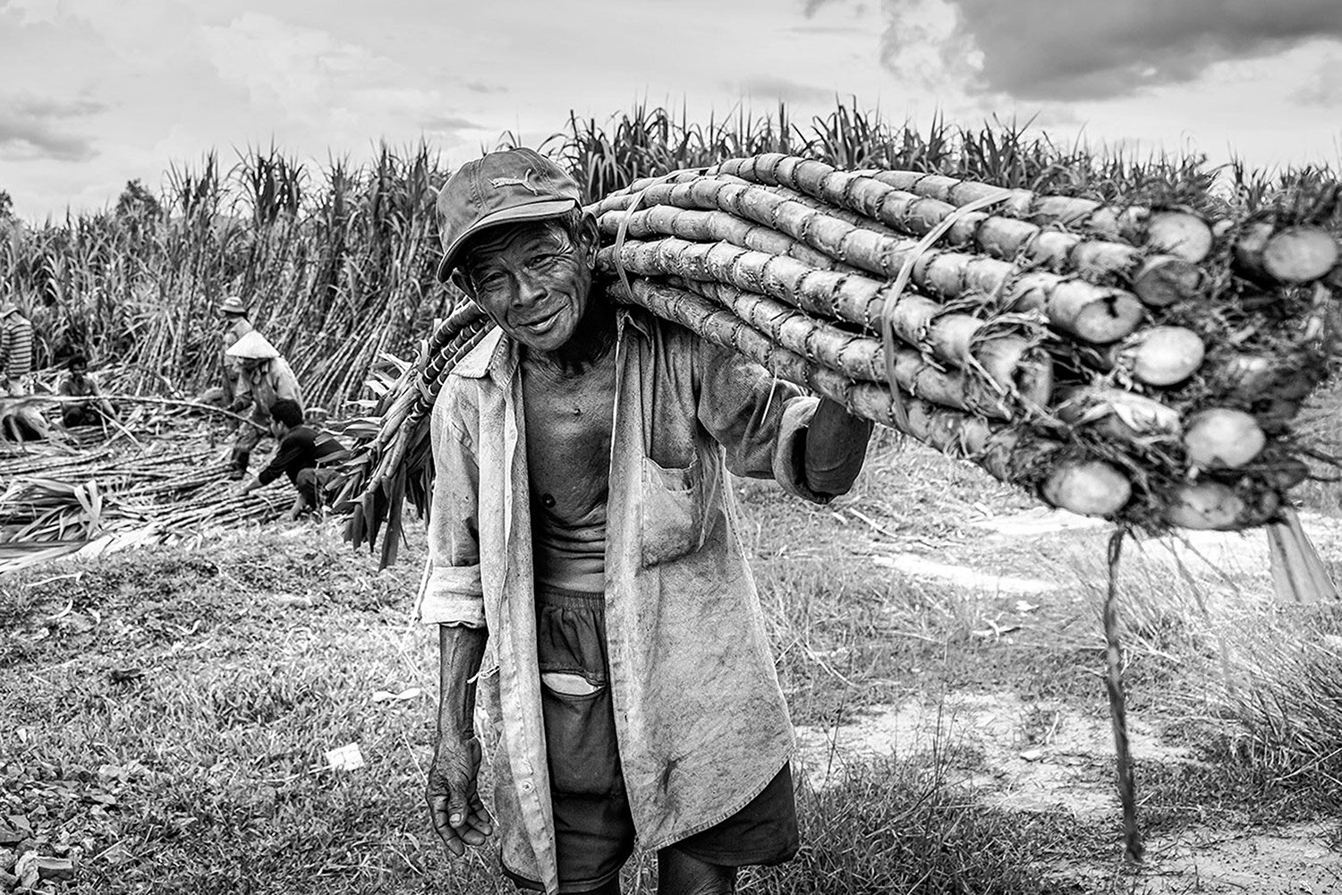 Sugarcane Farmer 