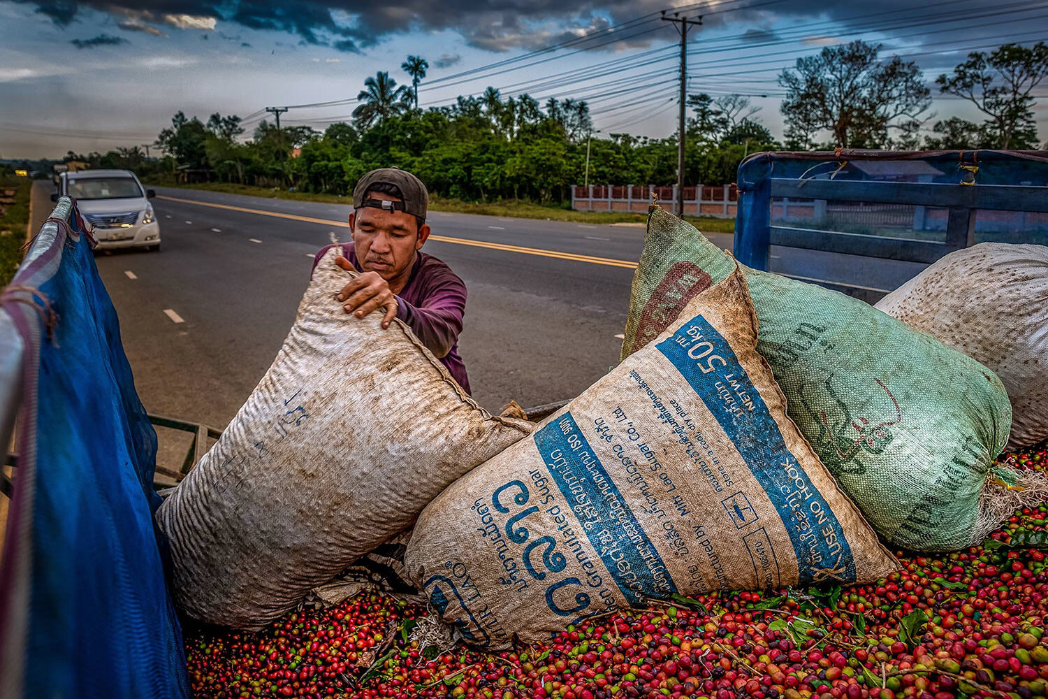 Coffee Trader