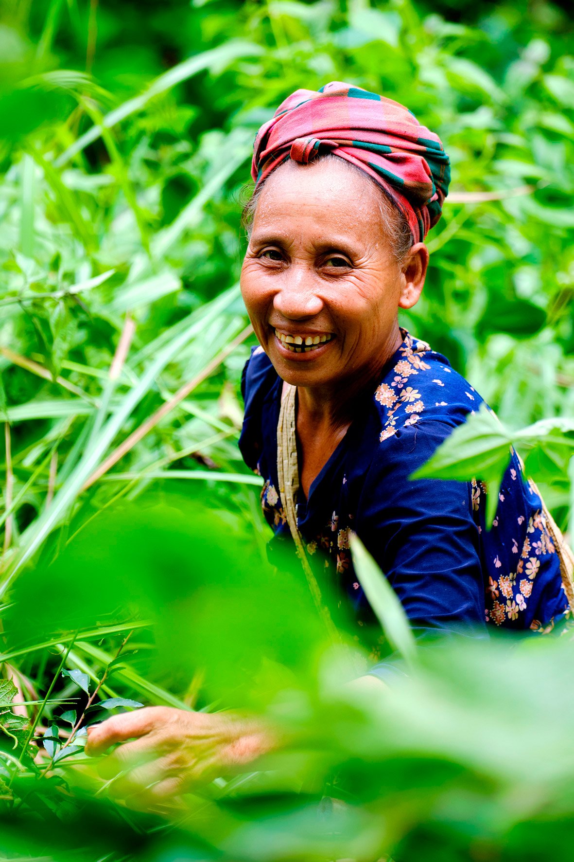 Northern Laos