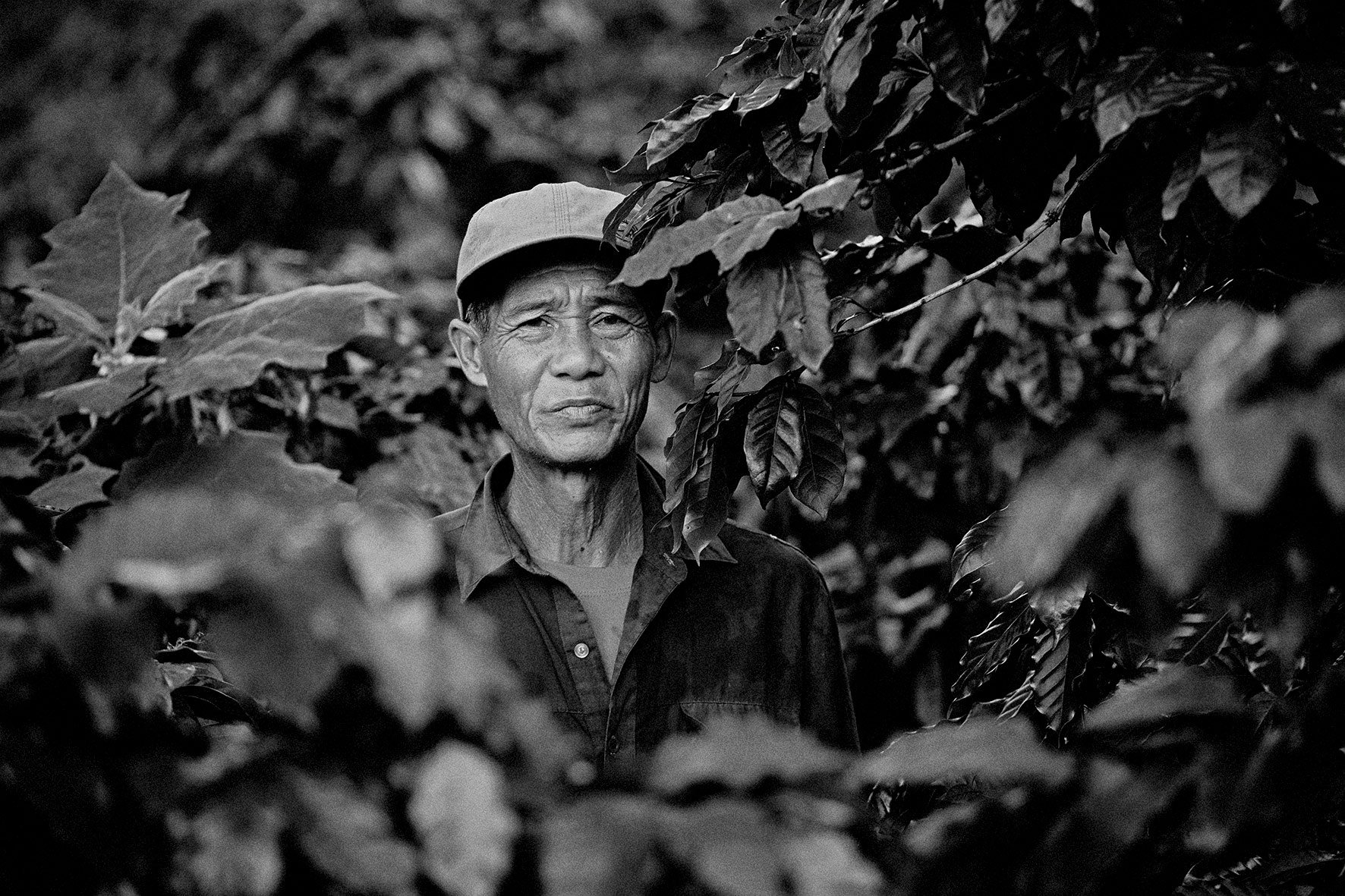 Coffee farmer, Bolaven Plateau, Laos