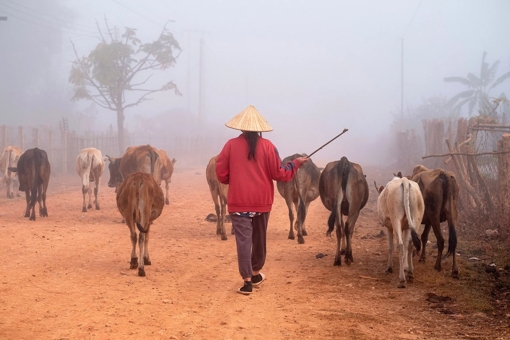 travel photography Laos
