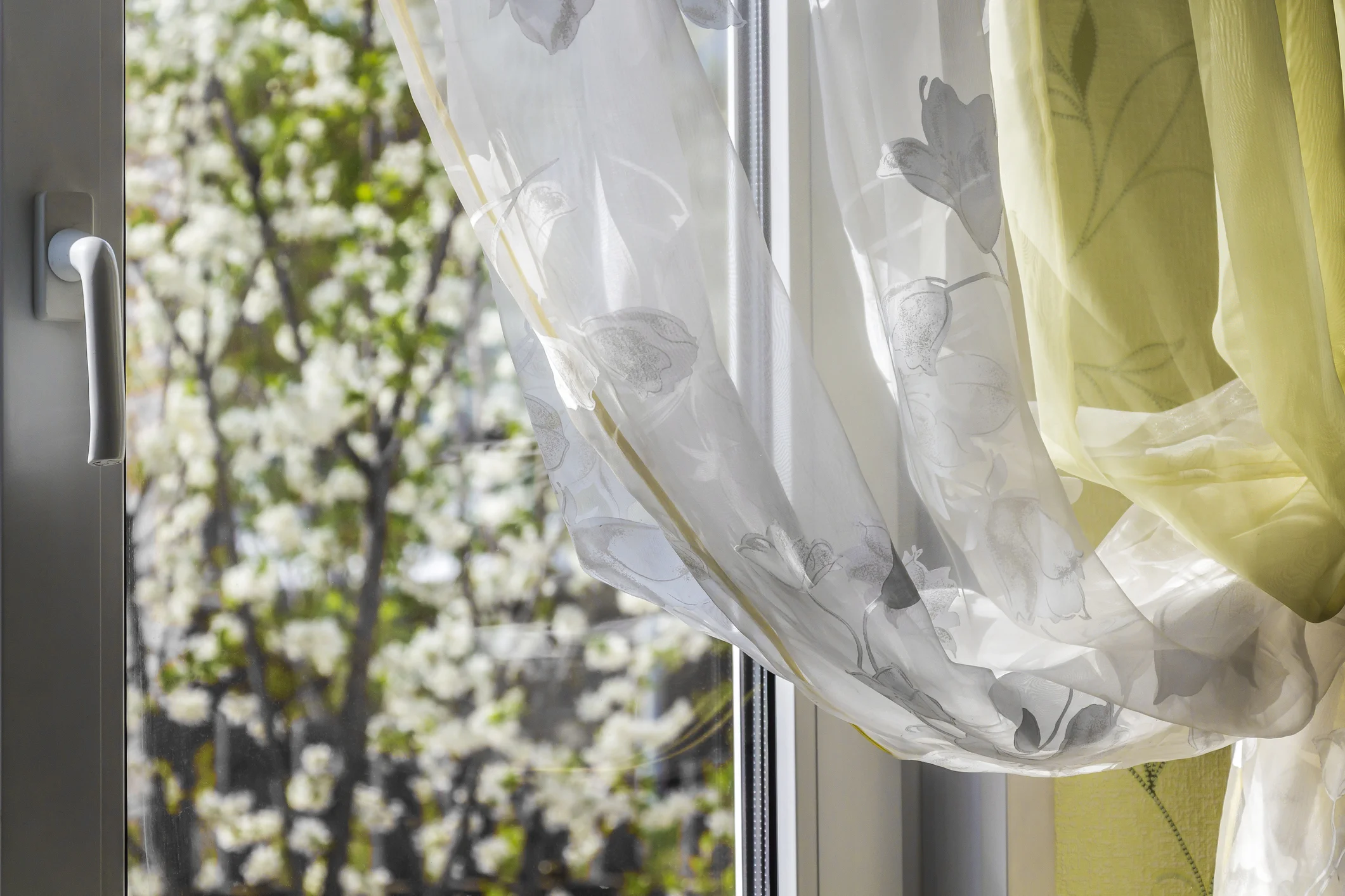Spring-outside-window-532549648_2125x1416.jpeg