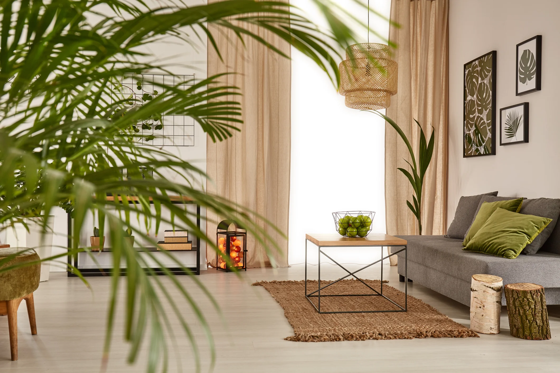Living-room-with-decorative-palm-629863550_2125x1416.jpeg