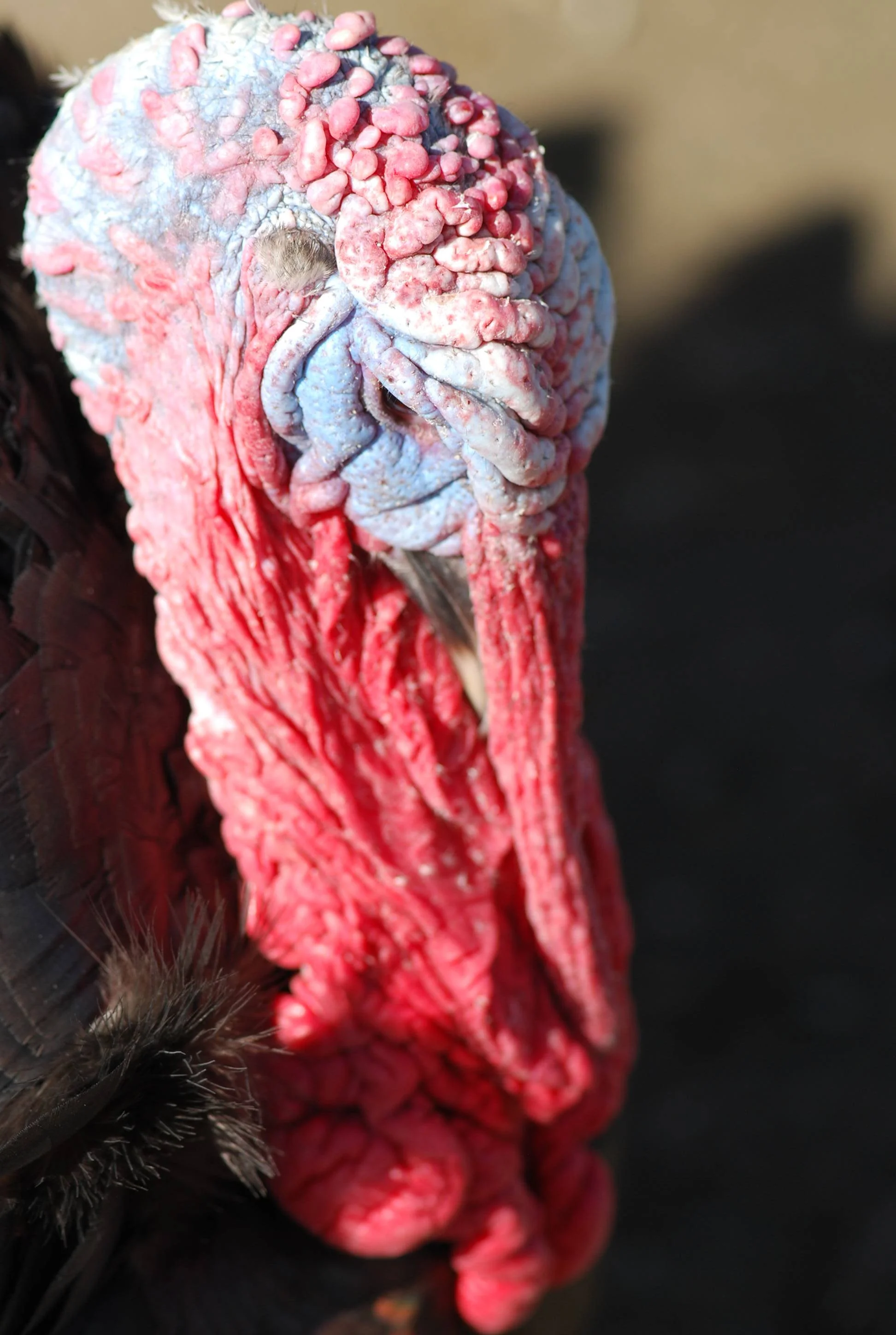 DSC_5840.jpg