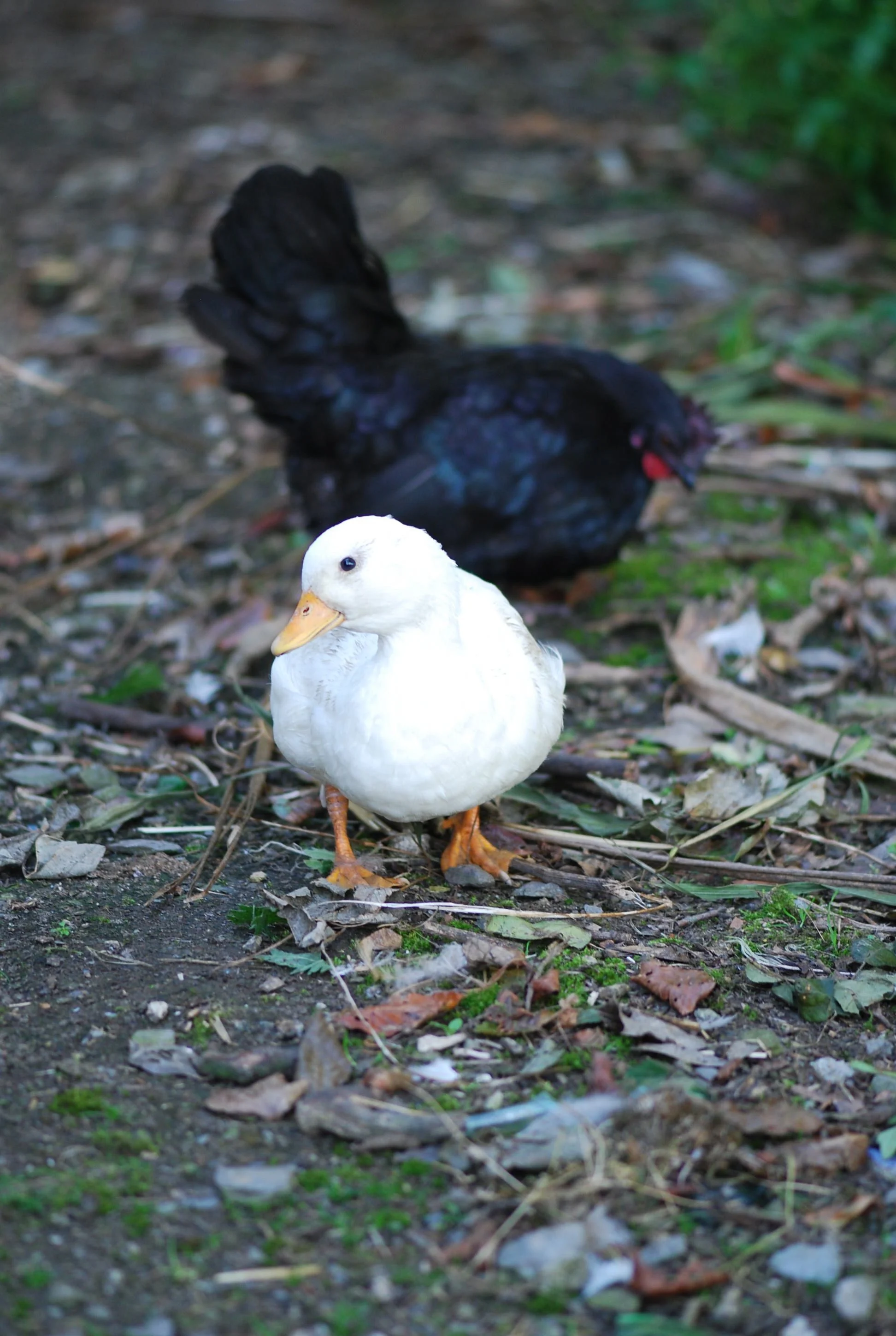 DSC_5835.jpg
