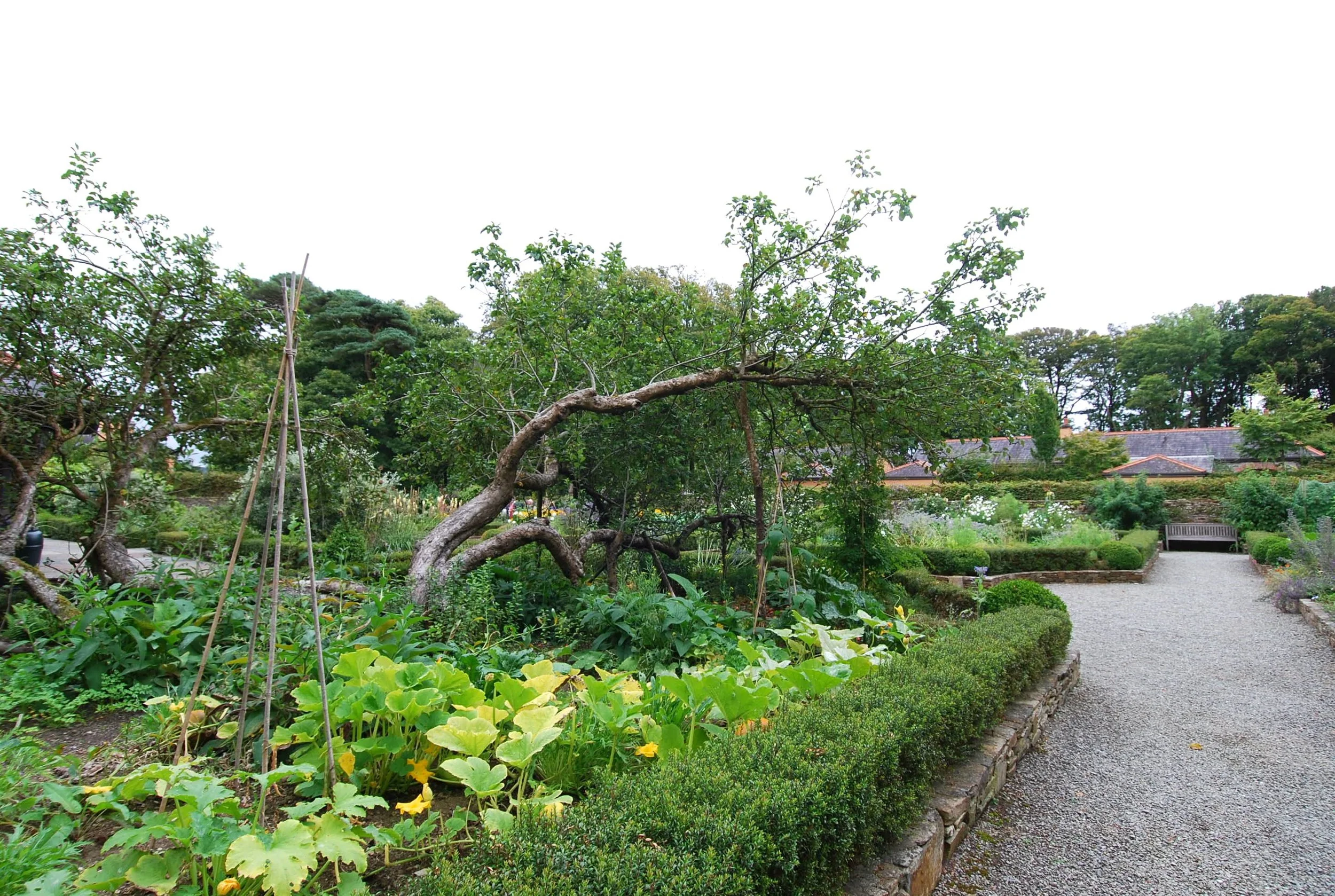 DSC_7097.jpg