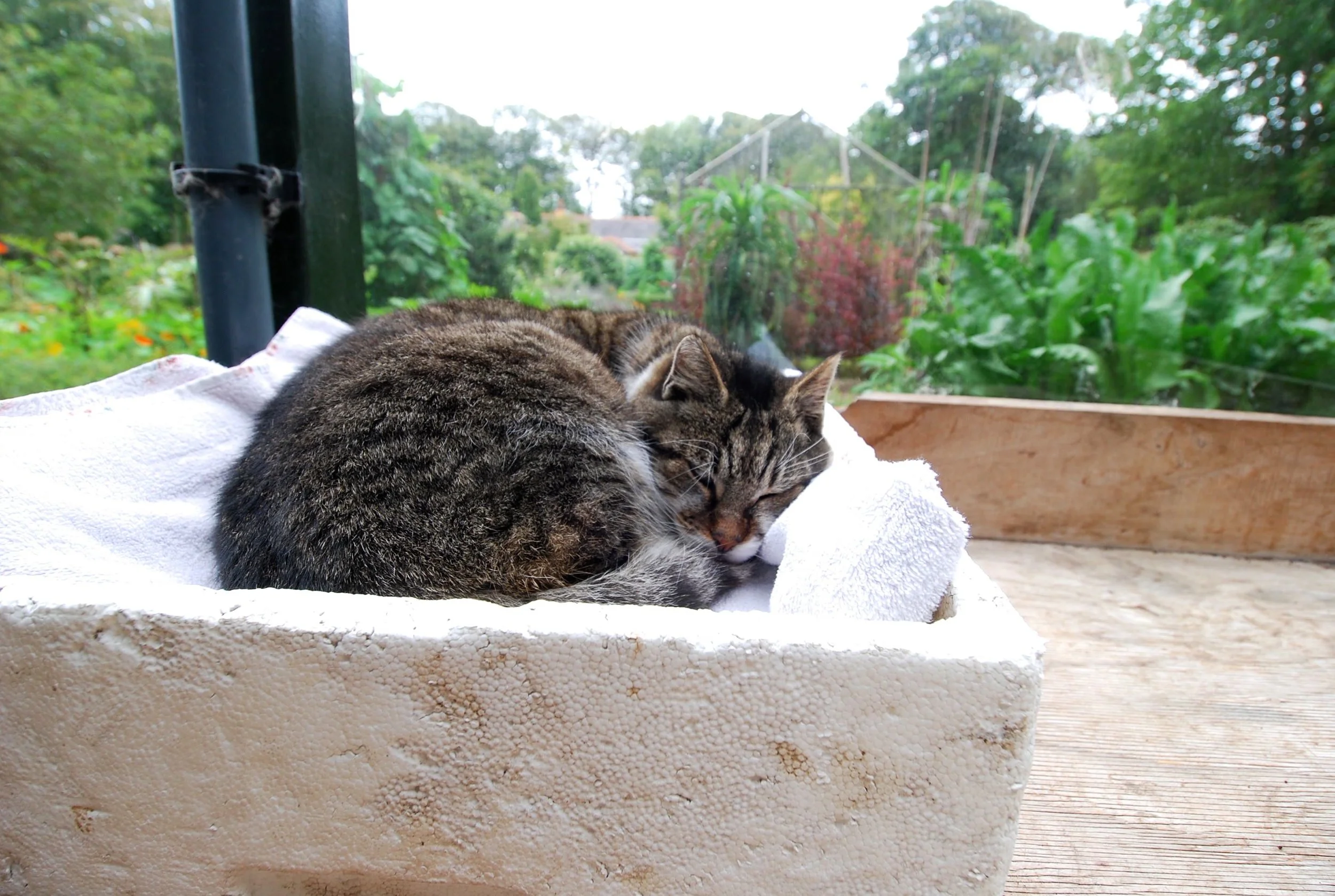 DSC_7110.jpg
