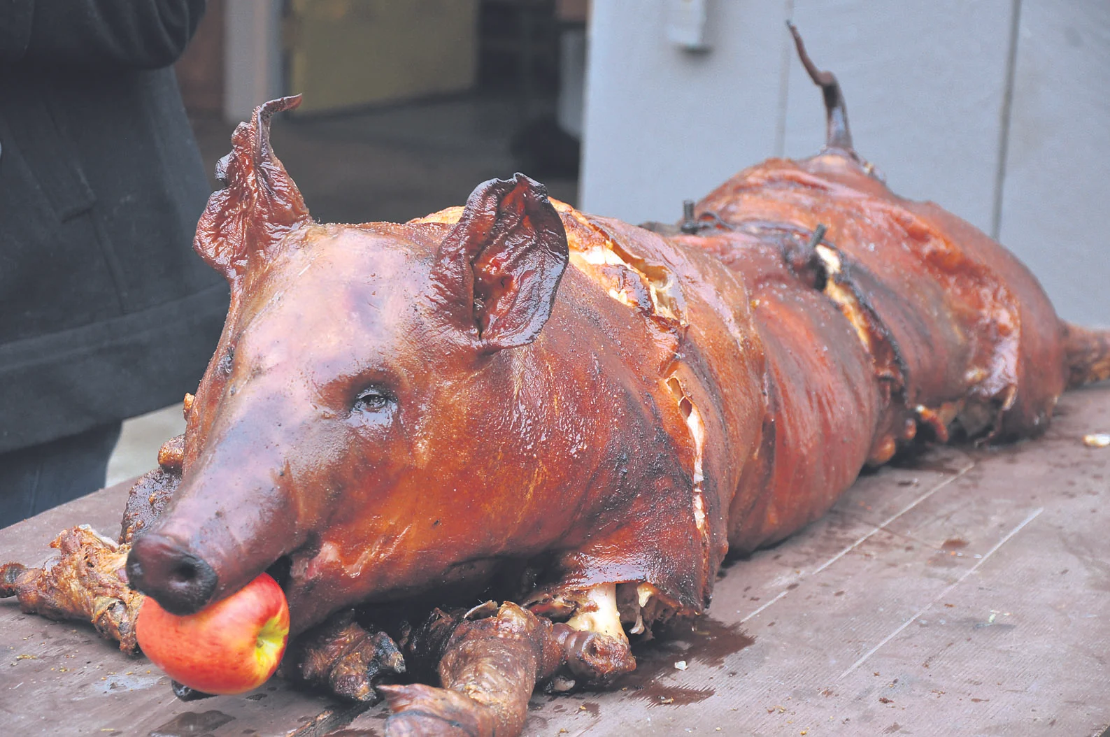 PigSpit1.jpg