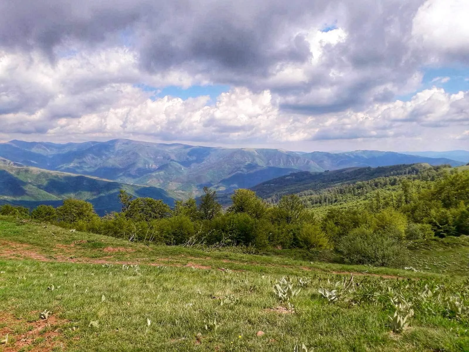 Stara planina.jpg