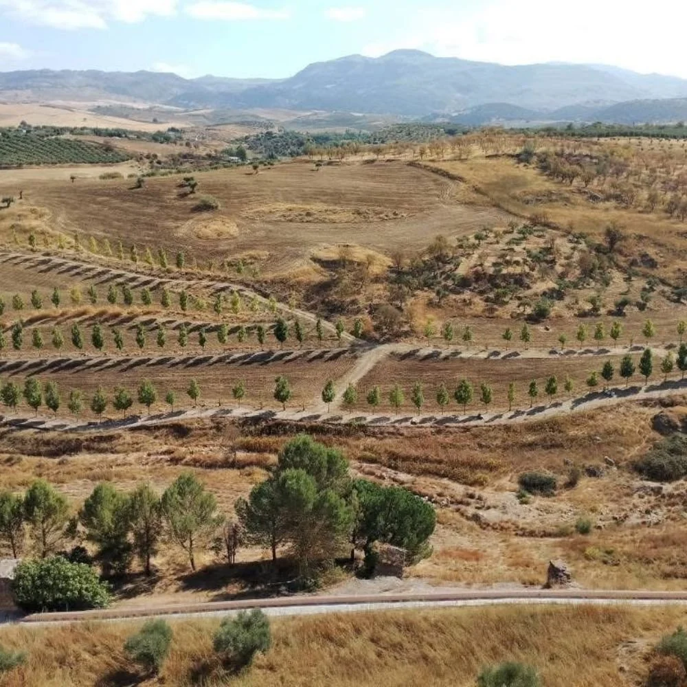 Andaluzija kružna tura