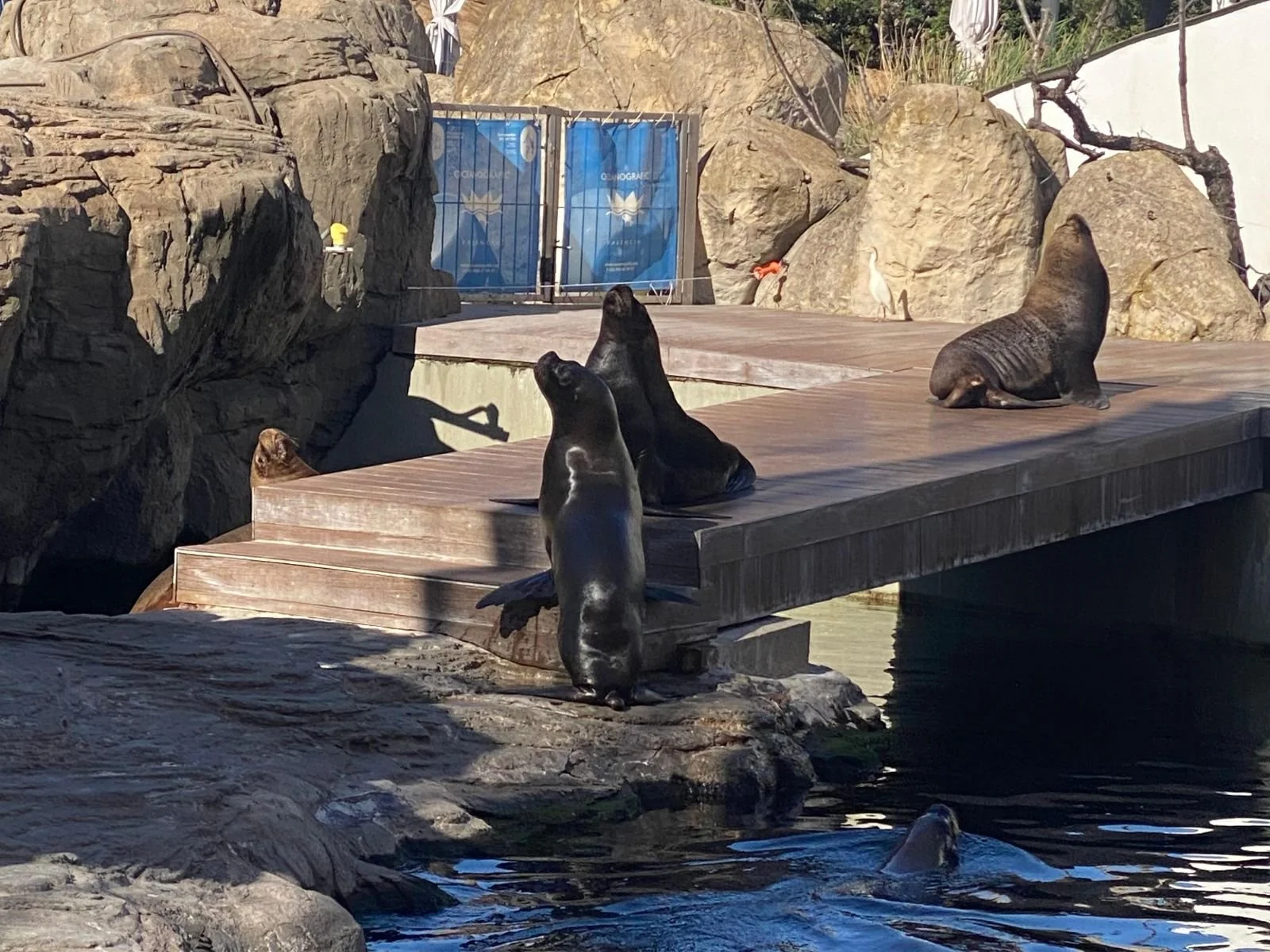 Valensija i Madrid kružna tura