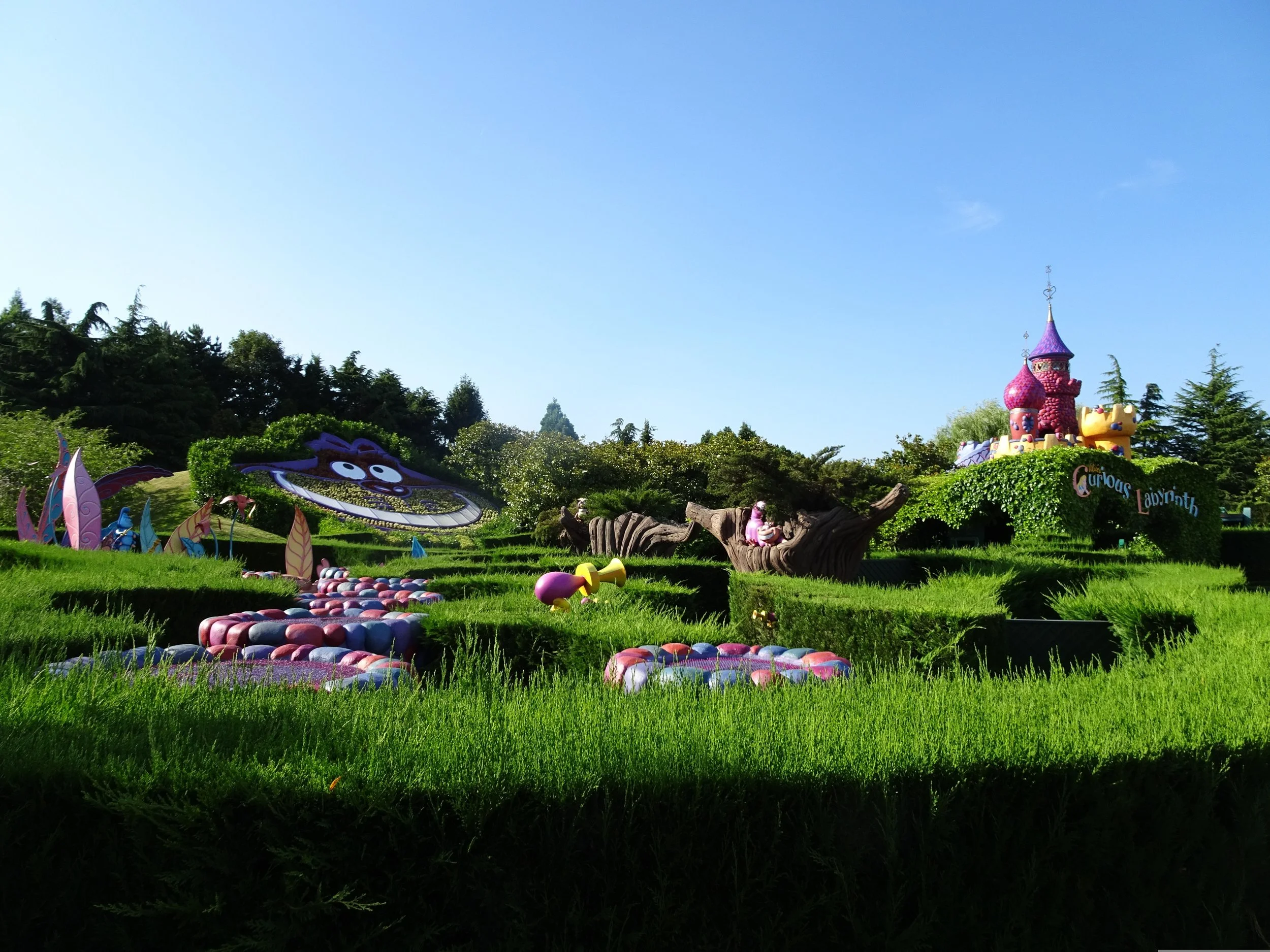 joteros-disney-2632722.jpg