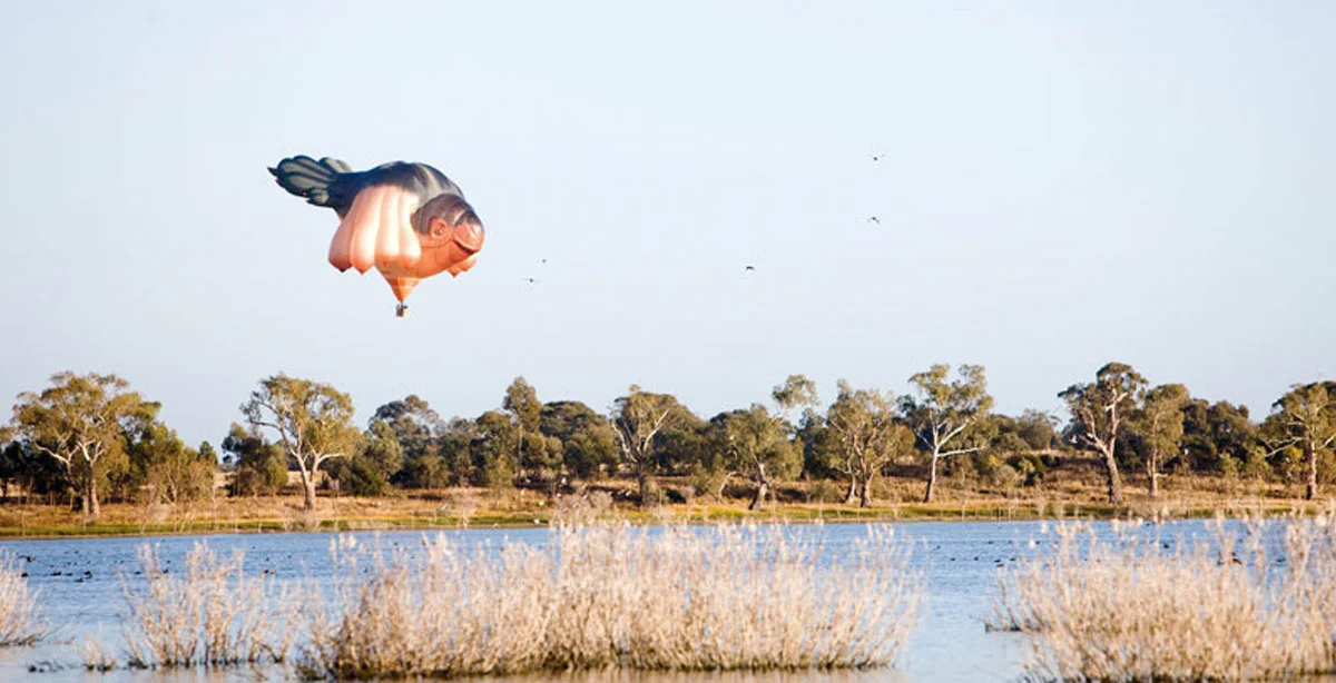 skywhale-1.jpg
