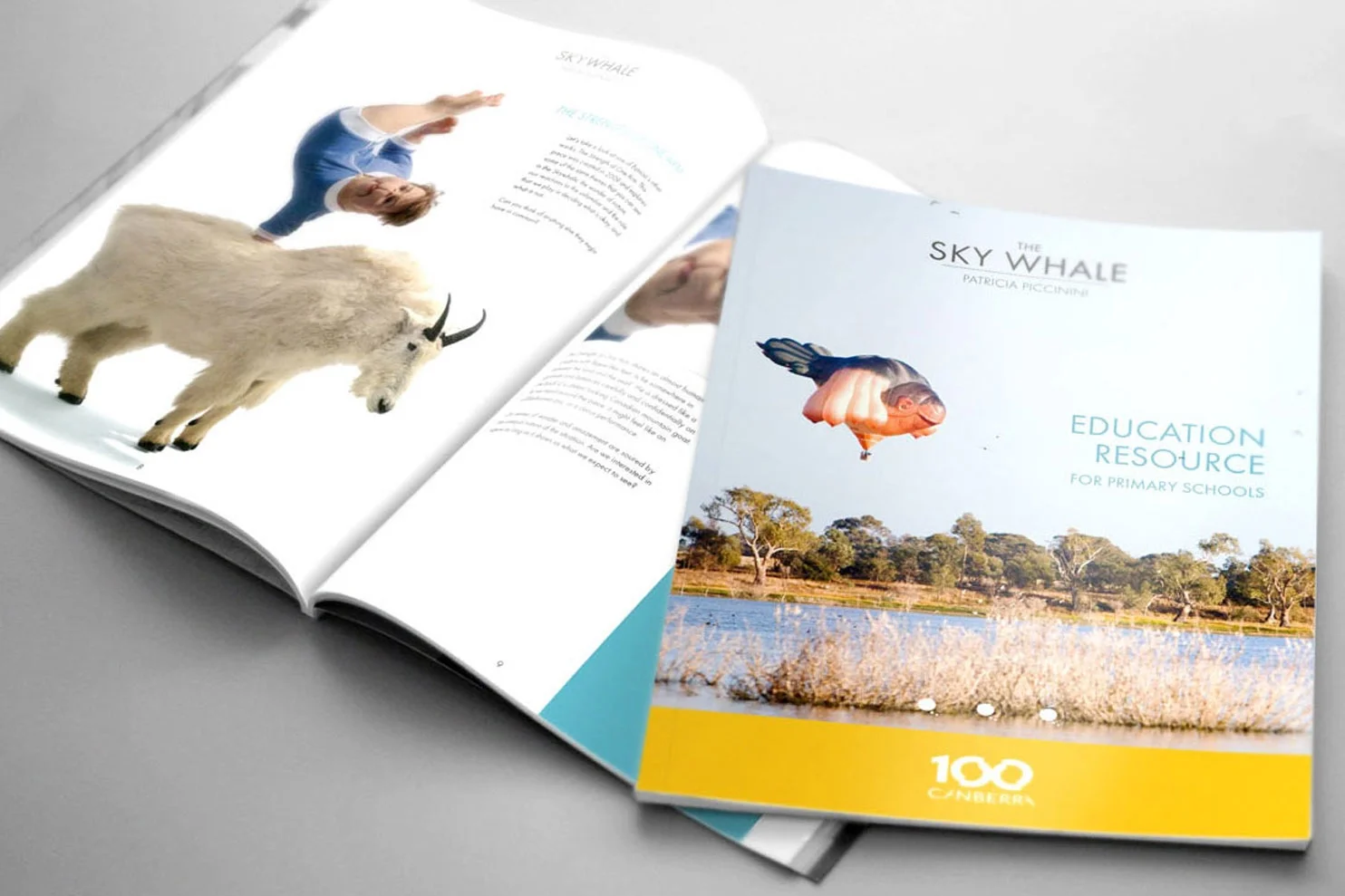 skywhale-5.jpg