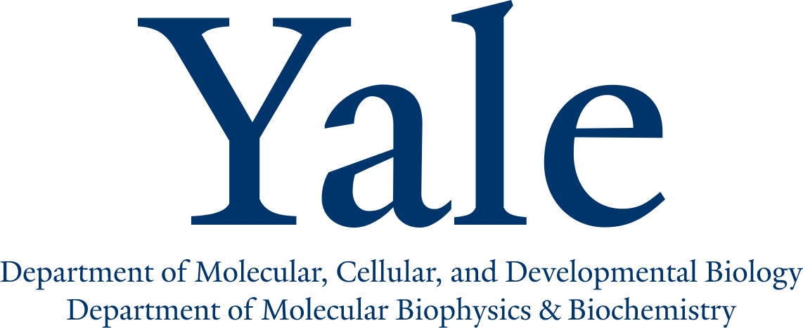 Yaledept .png