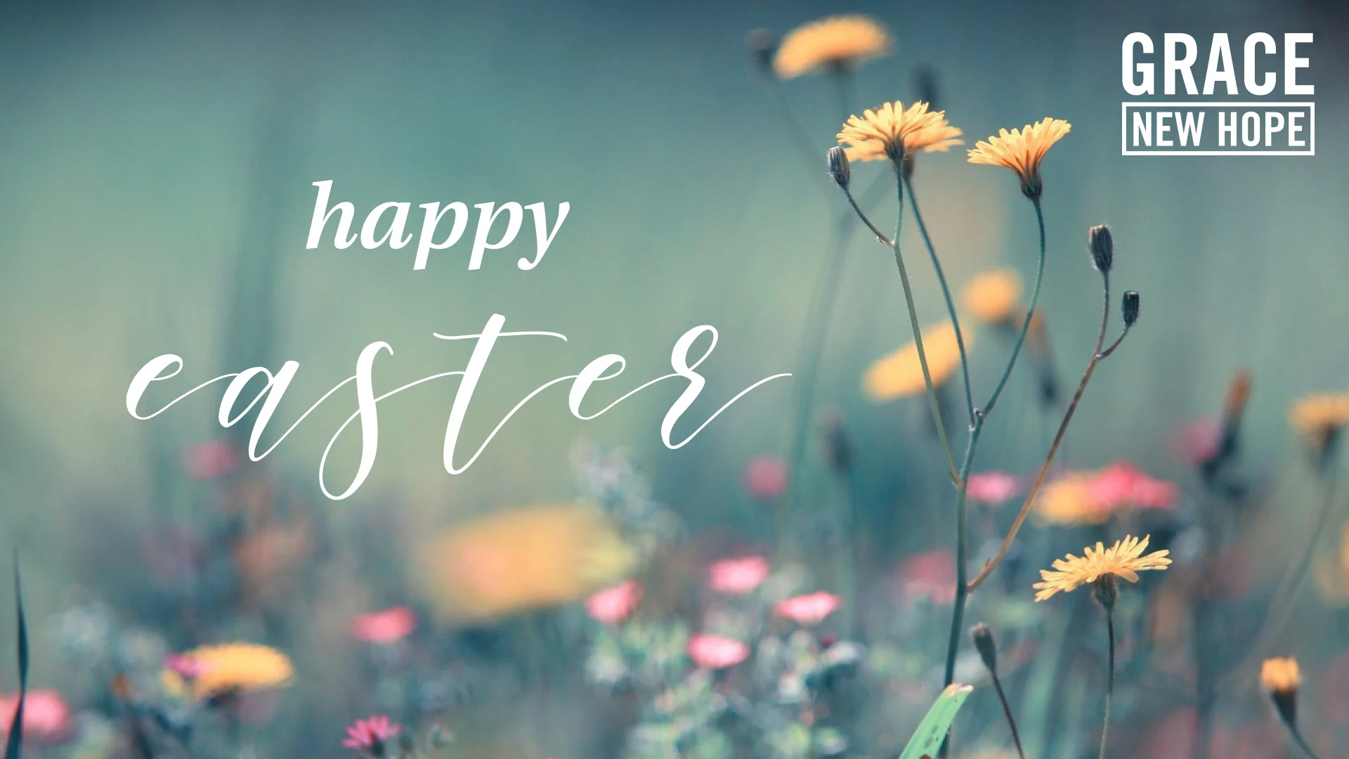 4.16.17 Easter