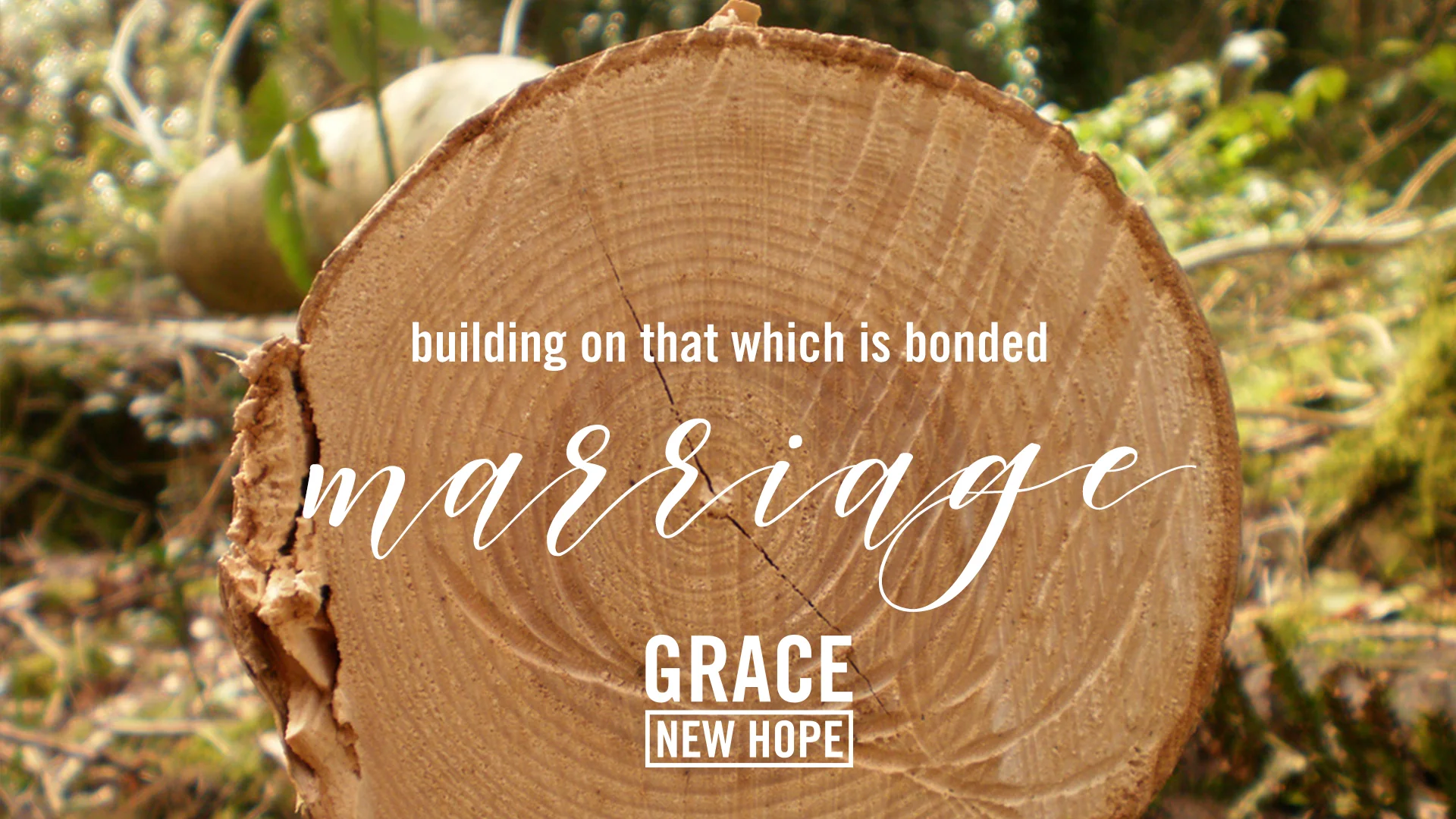 4.30.17 Marriage-Building on that which is bonded