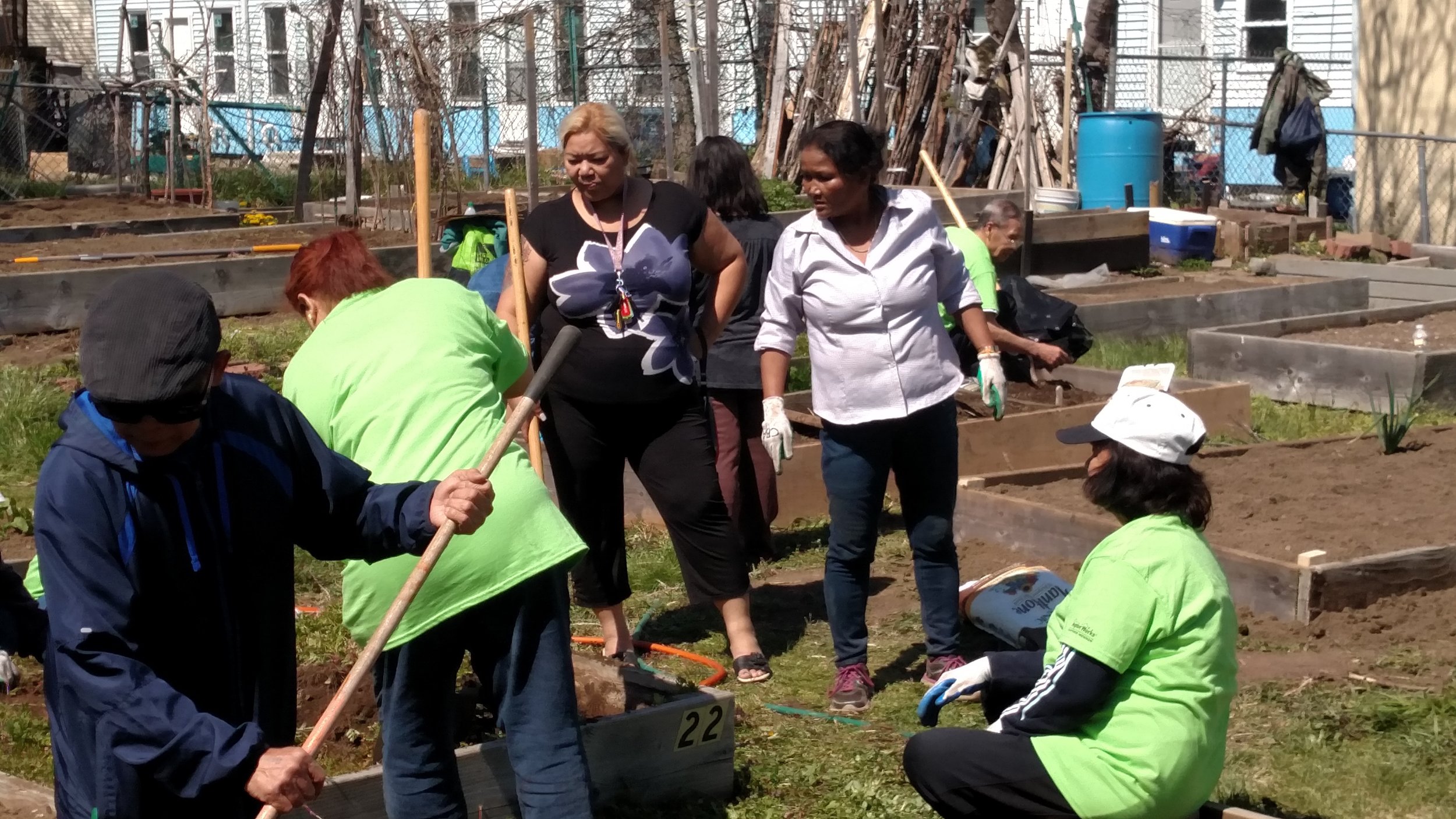 FranklinCtGarden_clean-up.jpg