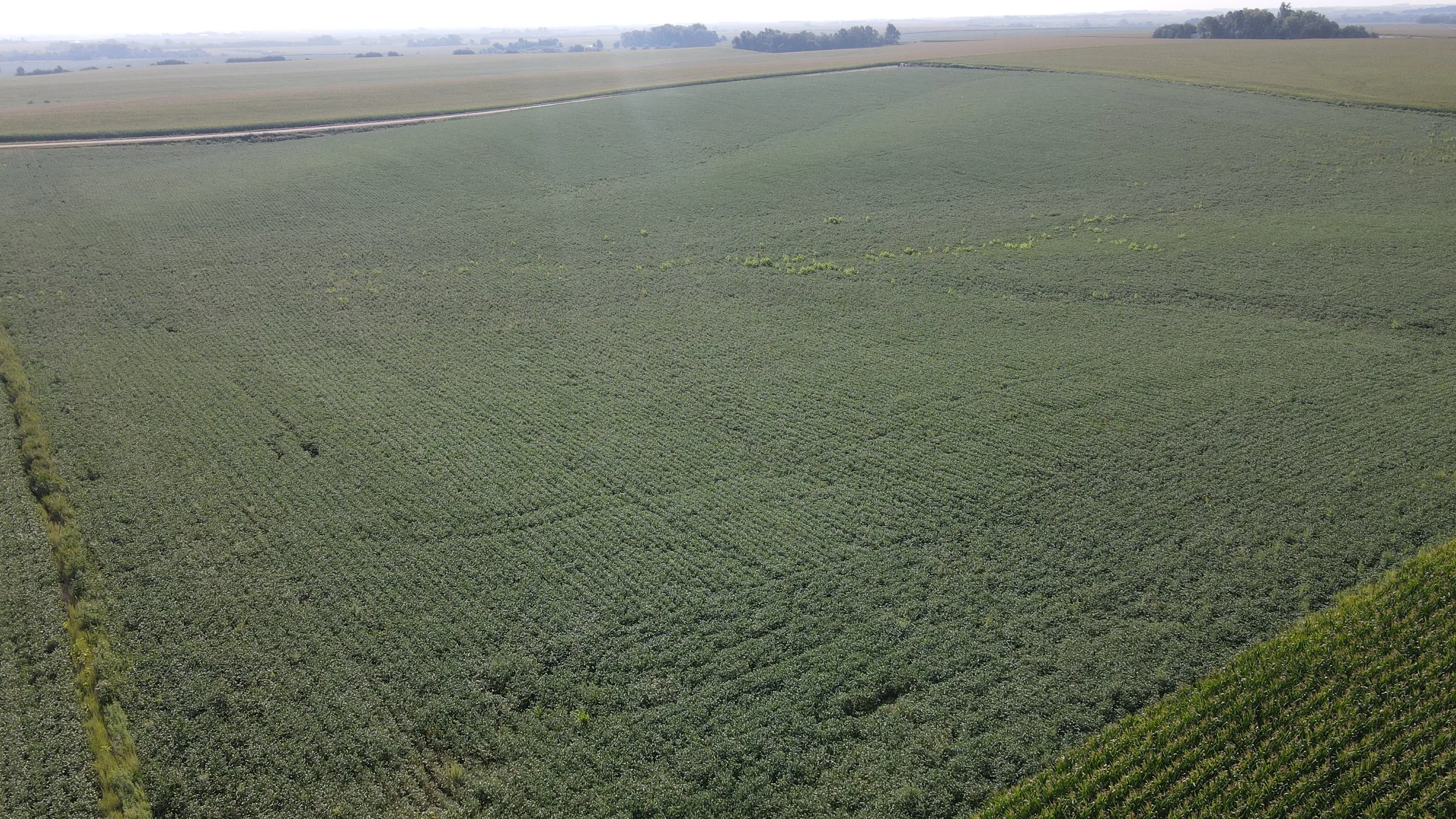 dji_fly_20230823_095834_229_1692802730090_photo.jpg
