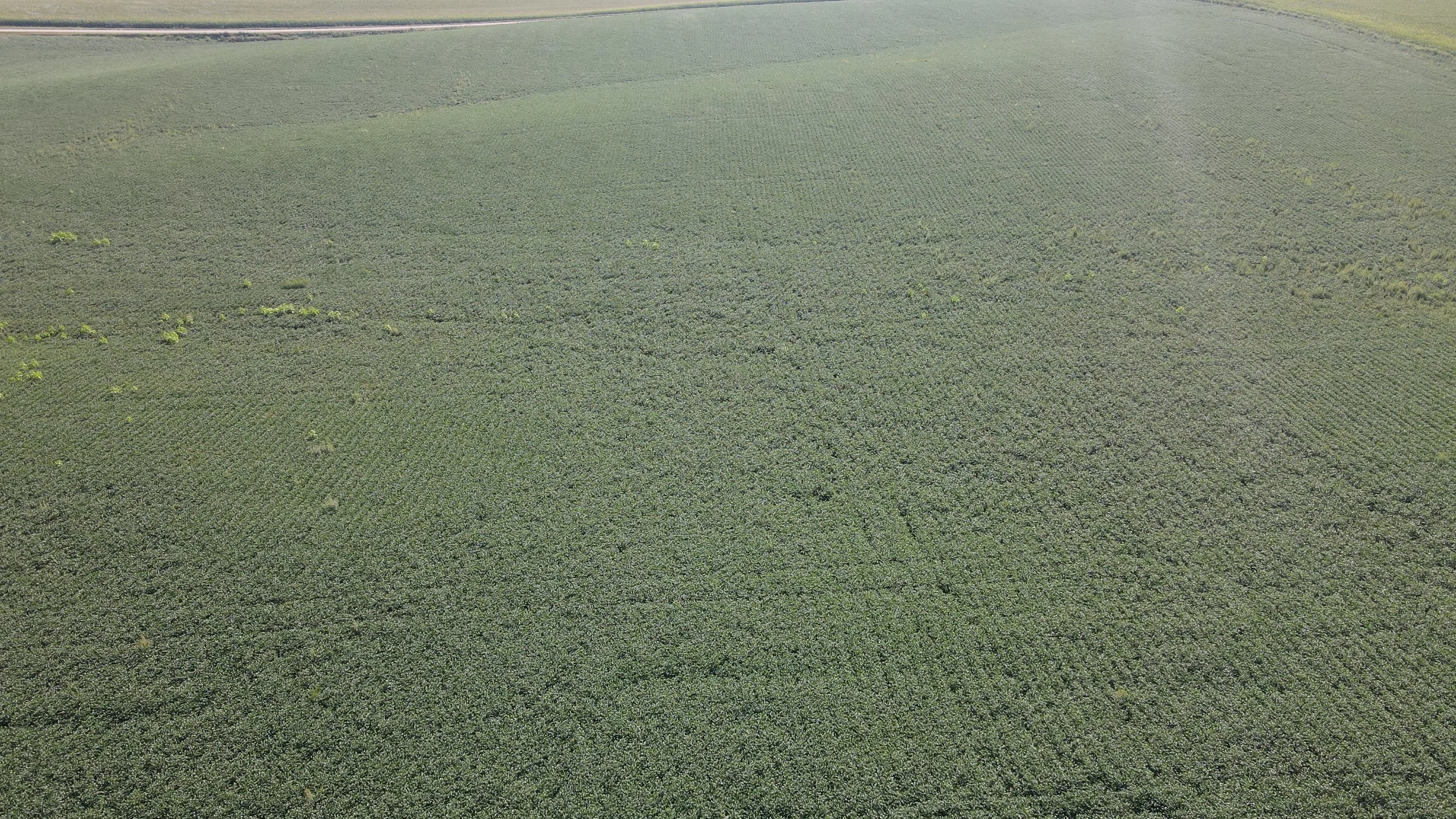 dji_fly_20230823_095802_228_1692802696276_photo.jpg